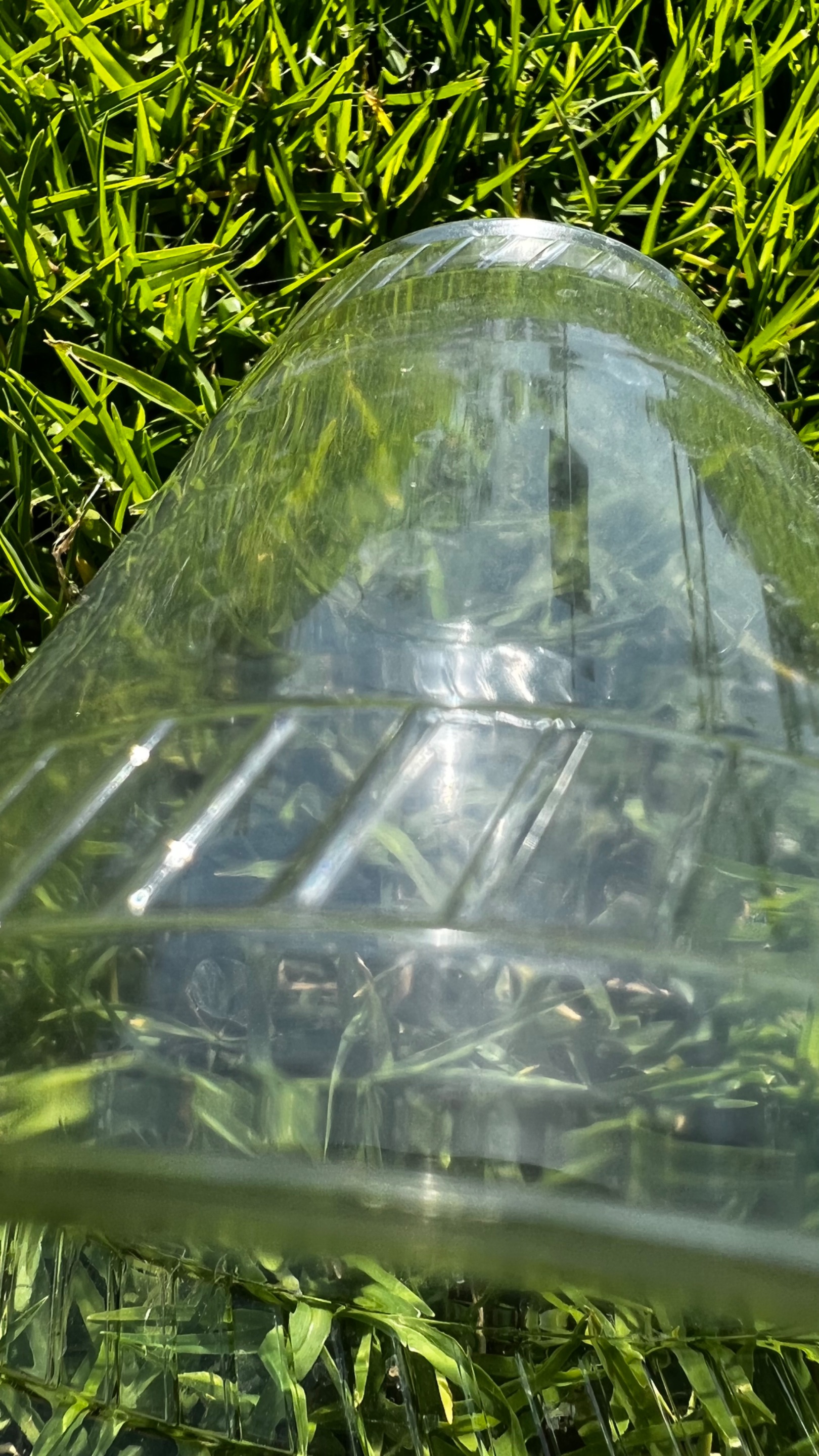 AF0290E1-DA89-4946-850A-44D0EA455BC6.jpeg