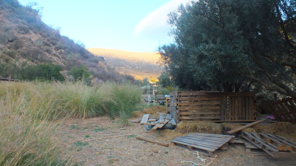 DSCF9598.JPG