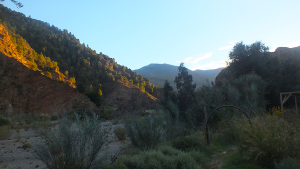 DSCF9600.JPG