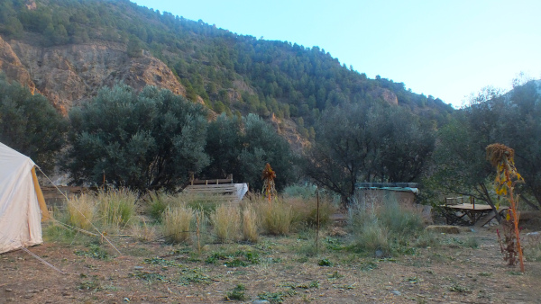 DSCF9595.JPG