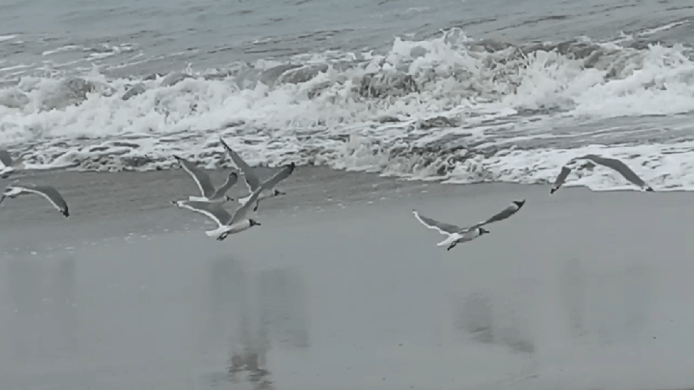 GIF-220329_130009.gif