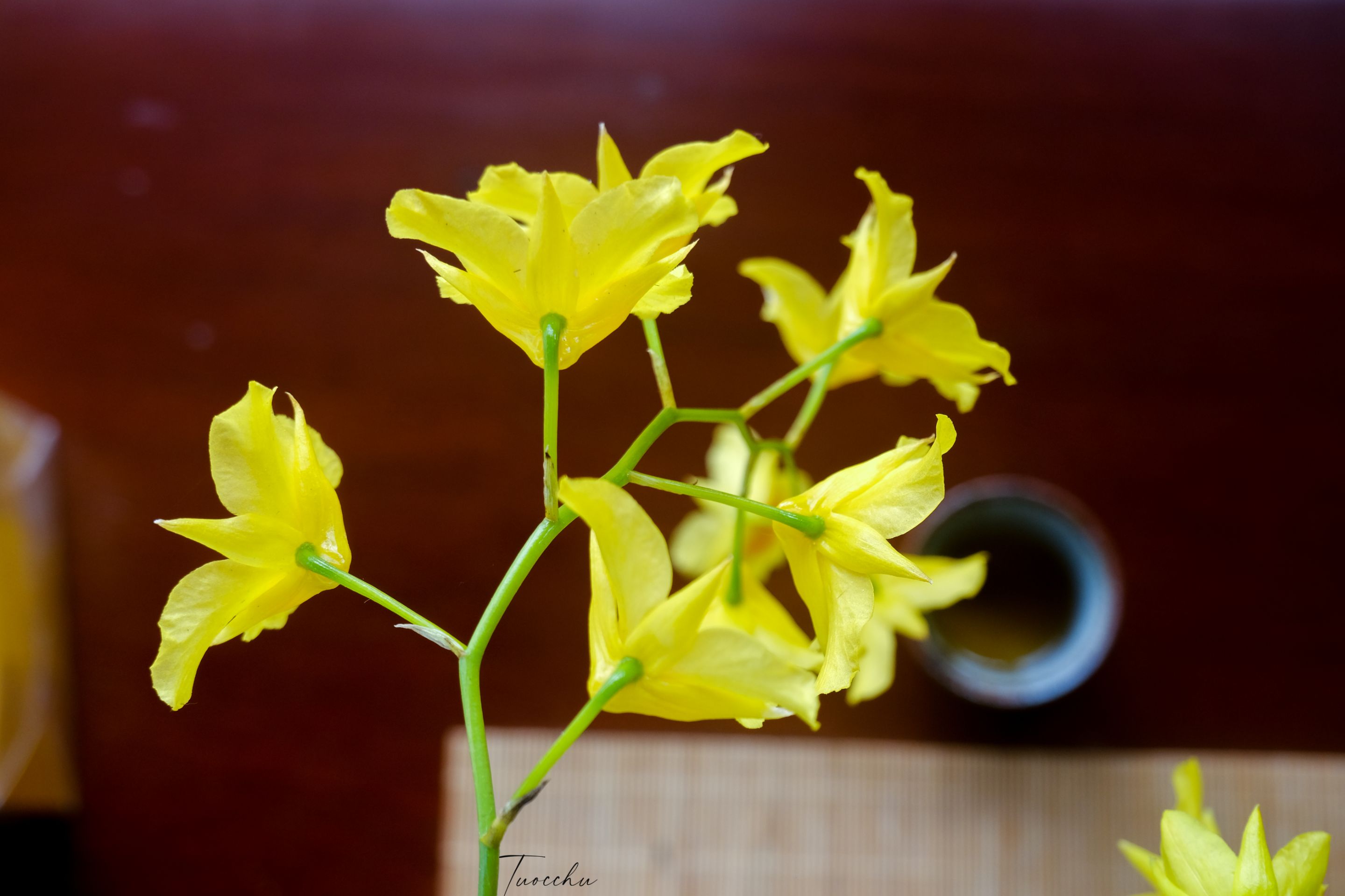 DSCF5804.JPG
