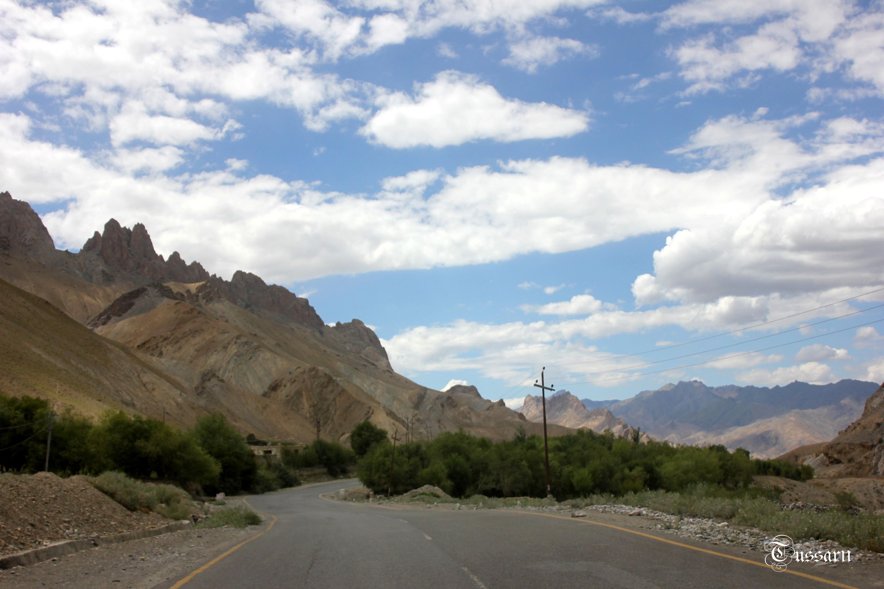IMG_3434 99.jpg