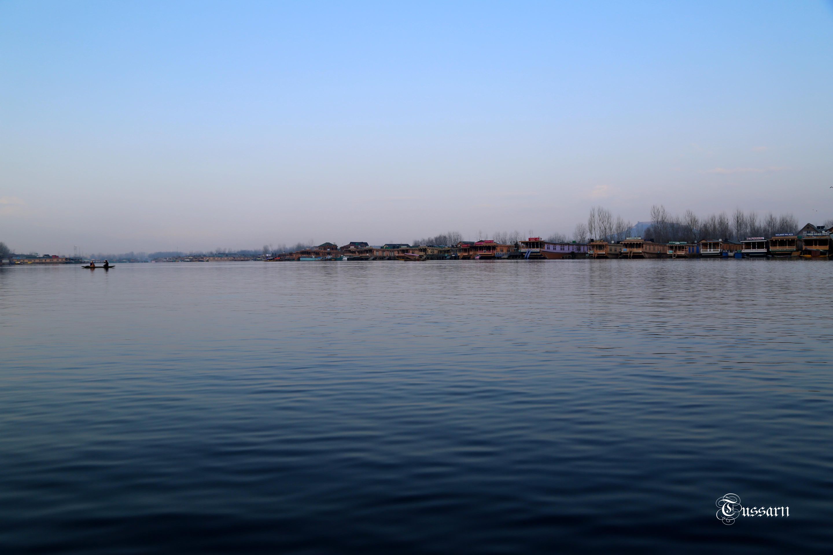 AH0A0712 33.jpg