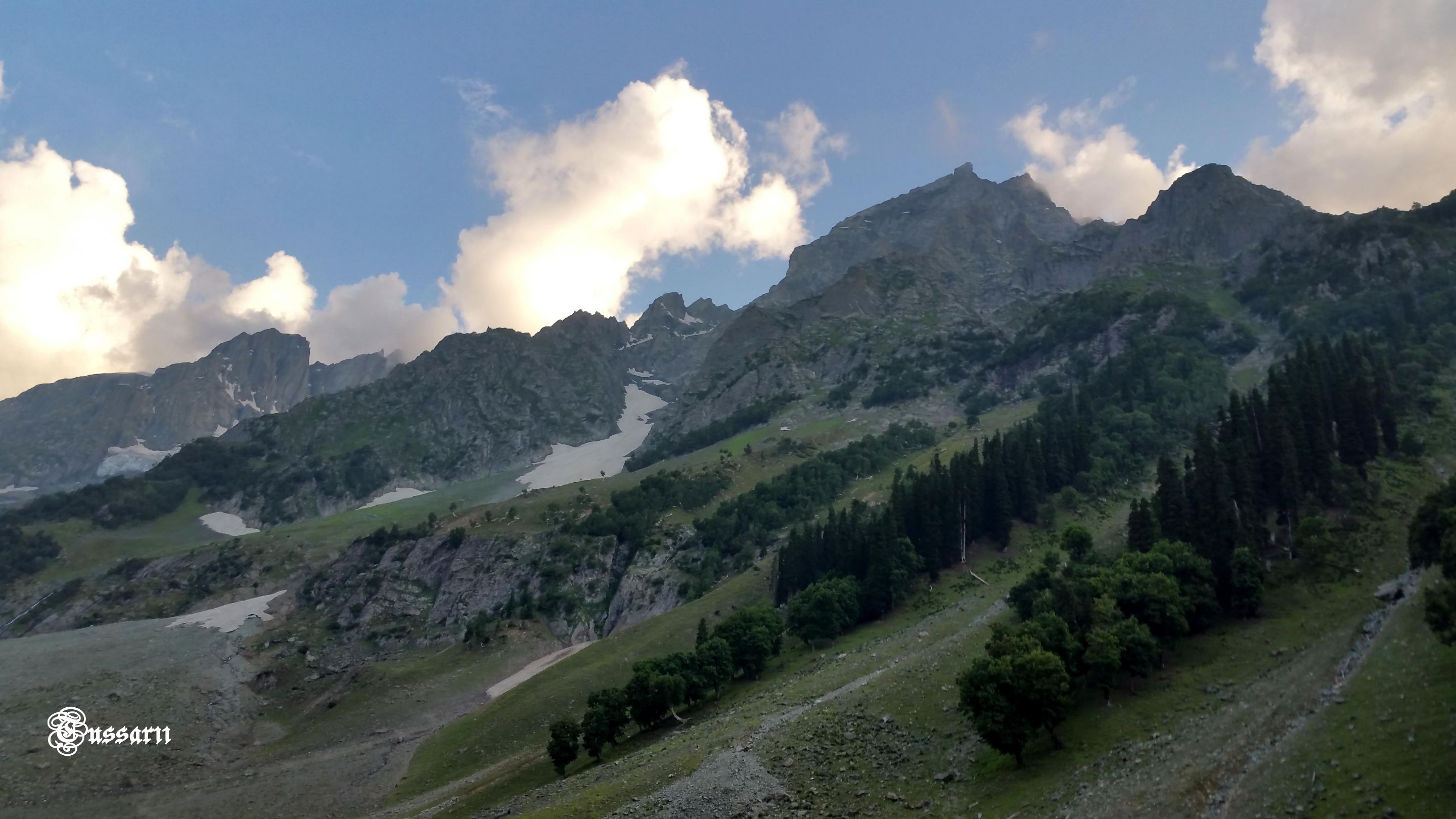 20160804_185040 44.jpg