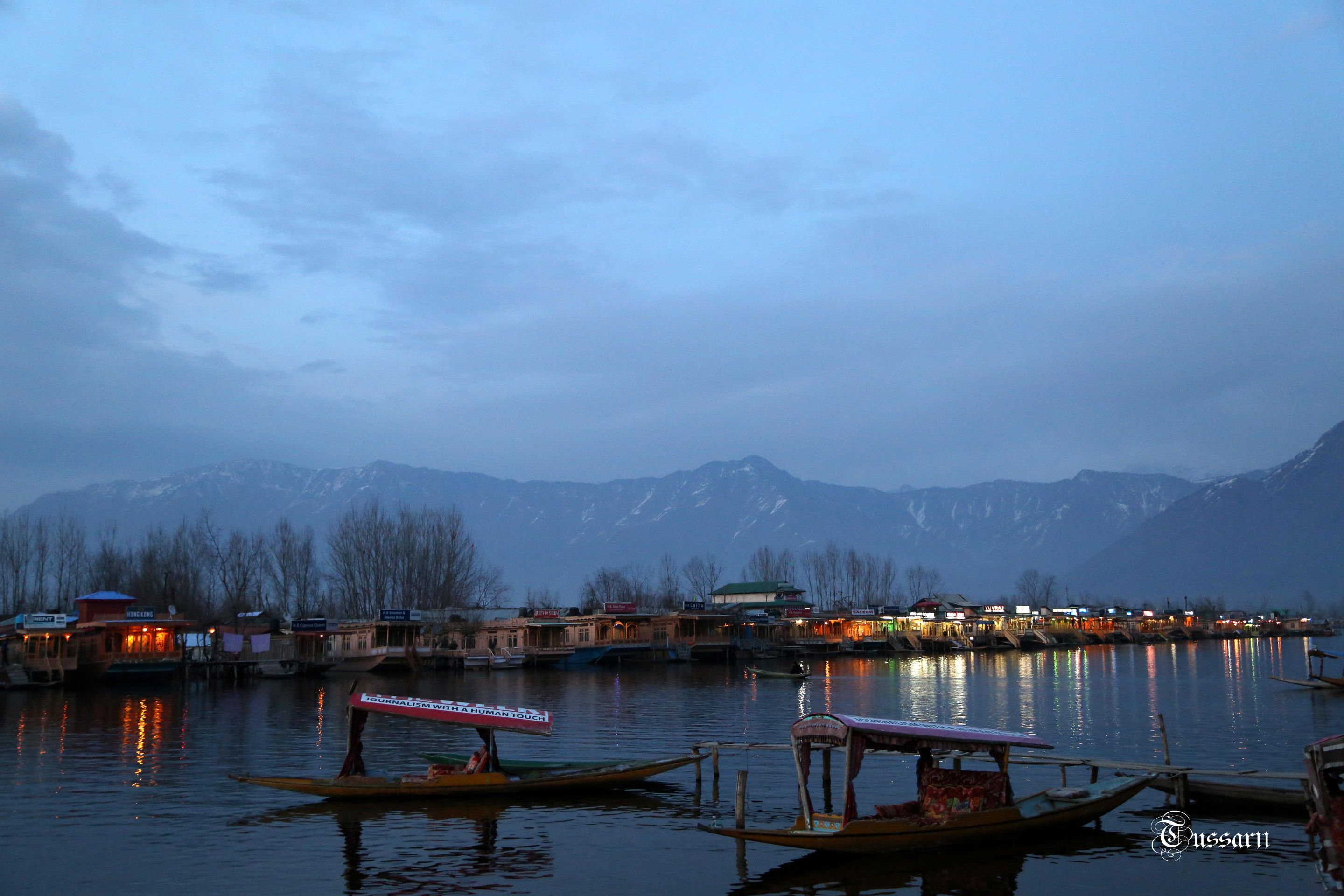 AH0A0704 22.jpg