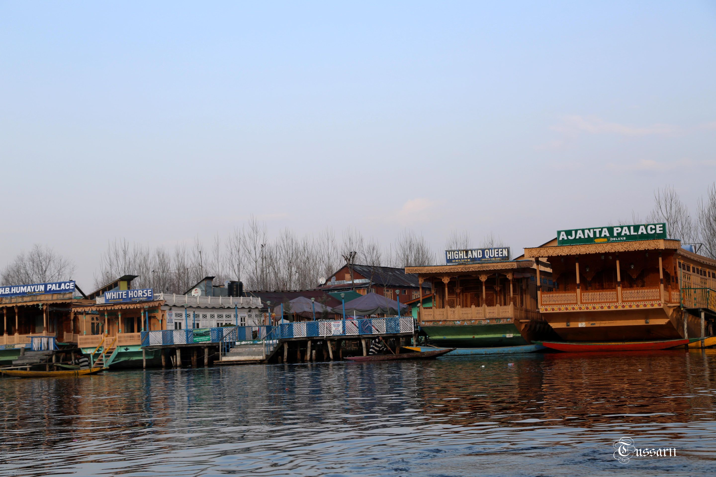 AH0A0715 55.jpg