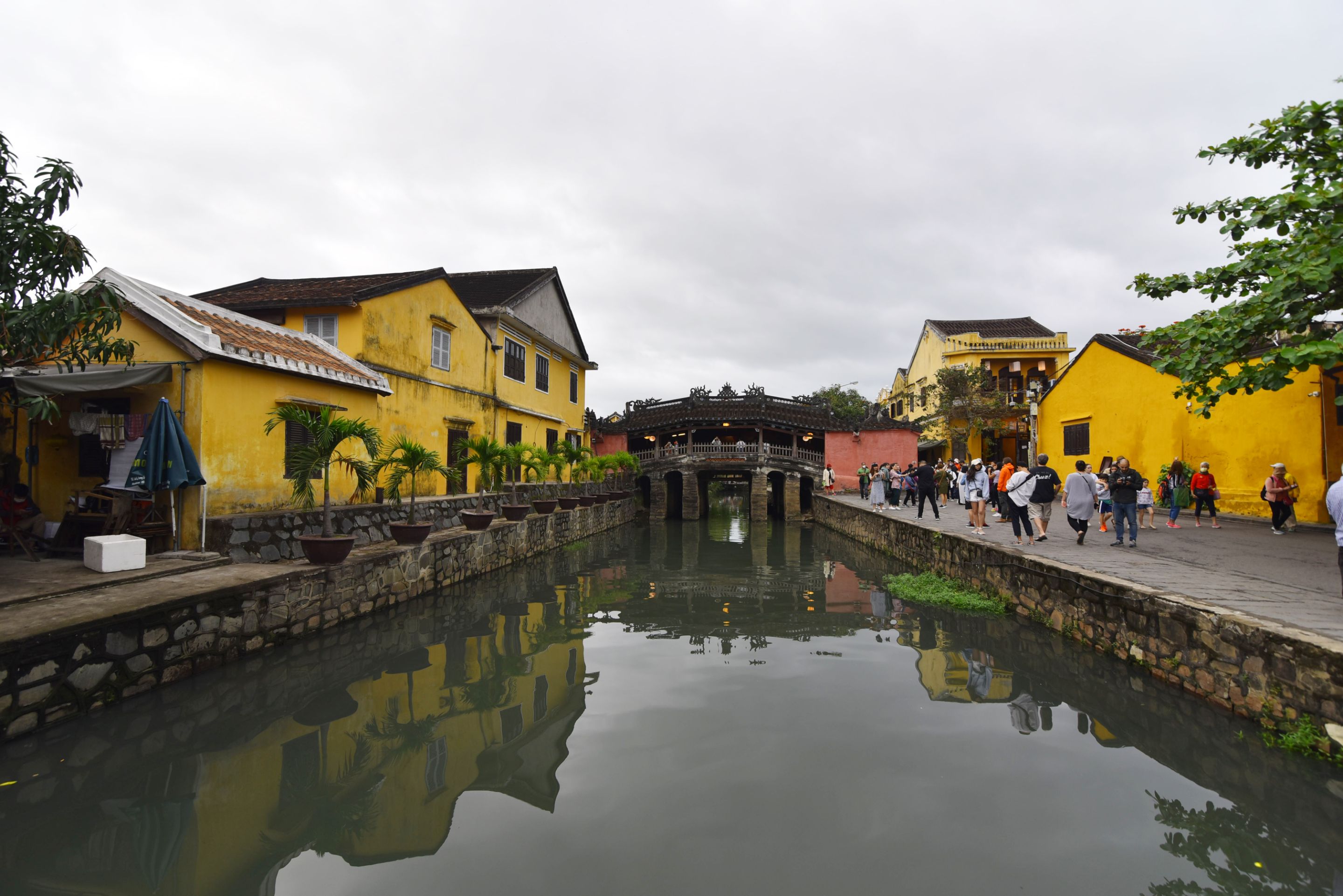 DSC_6223.JPG