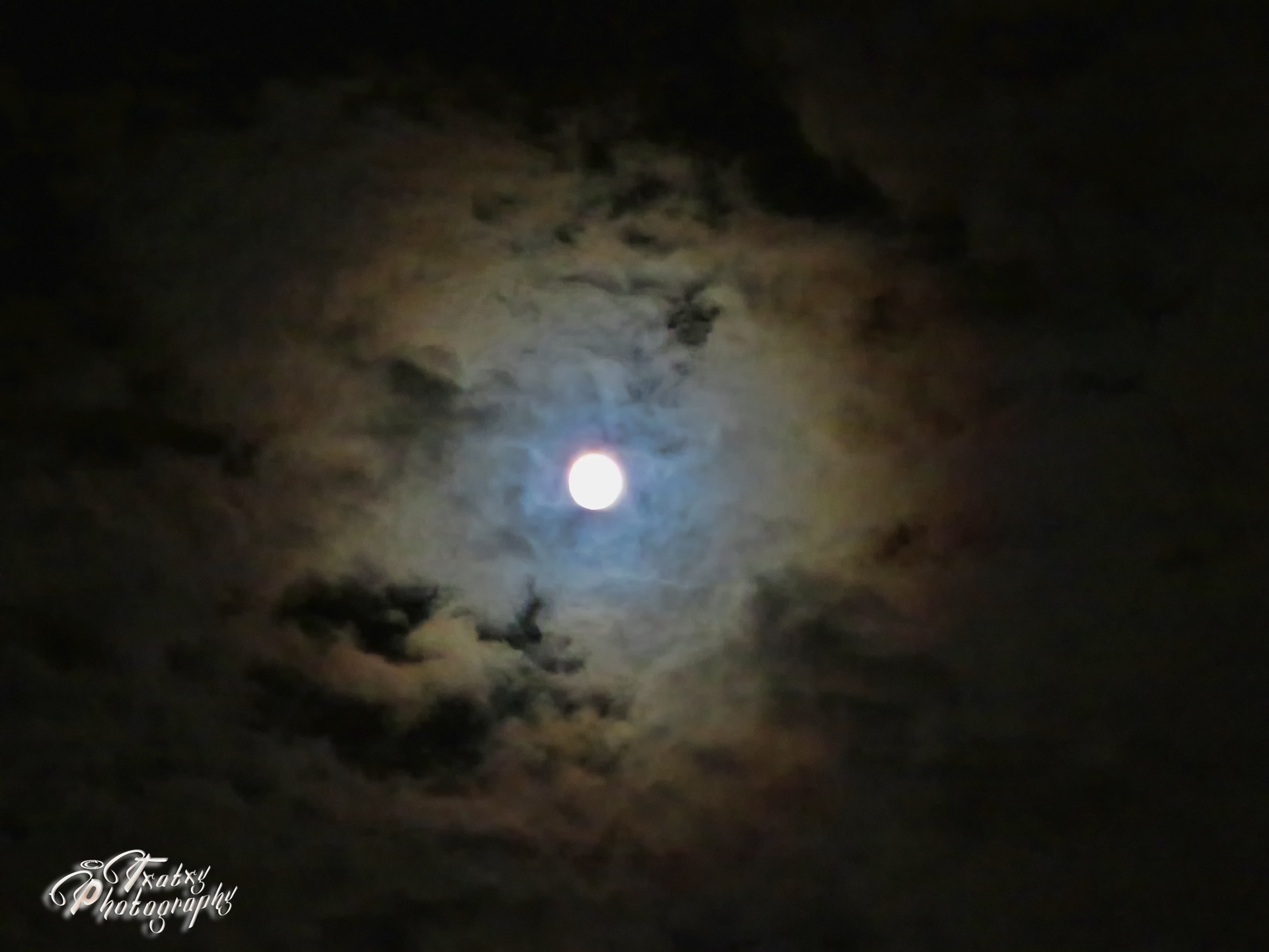 IMG_7014 copia.jpg