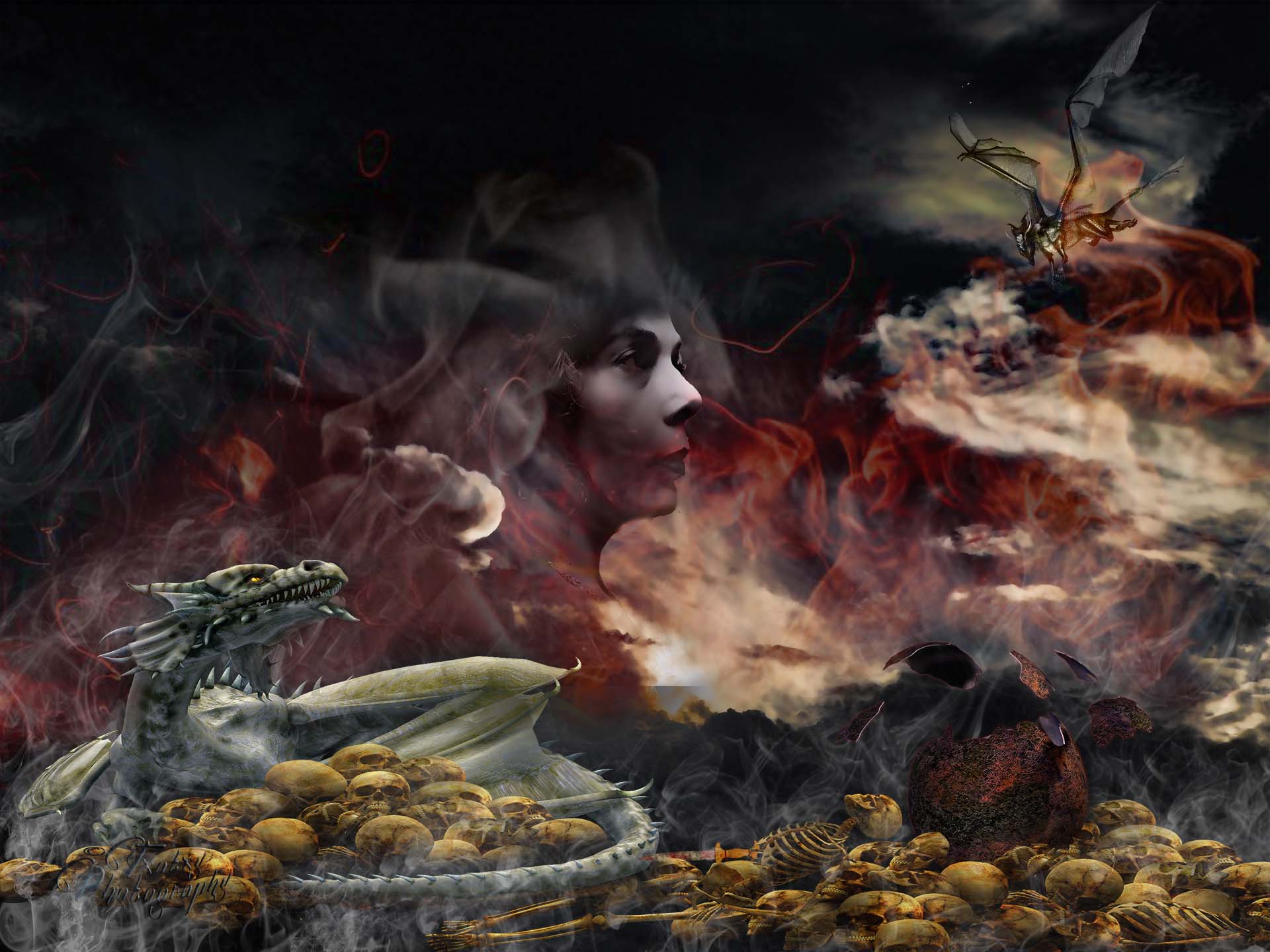 dragones copia.jpg
