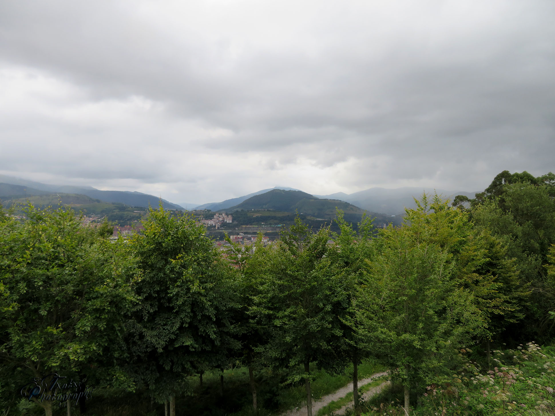 IMG_5167 copia.jpg