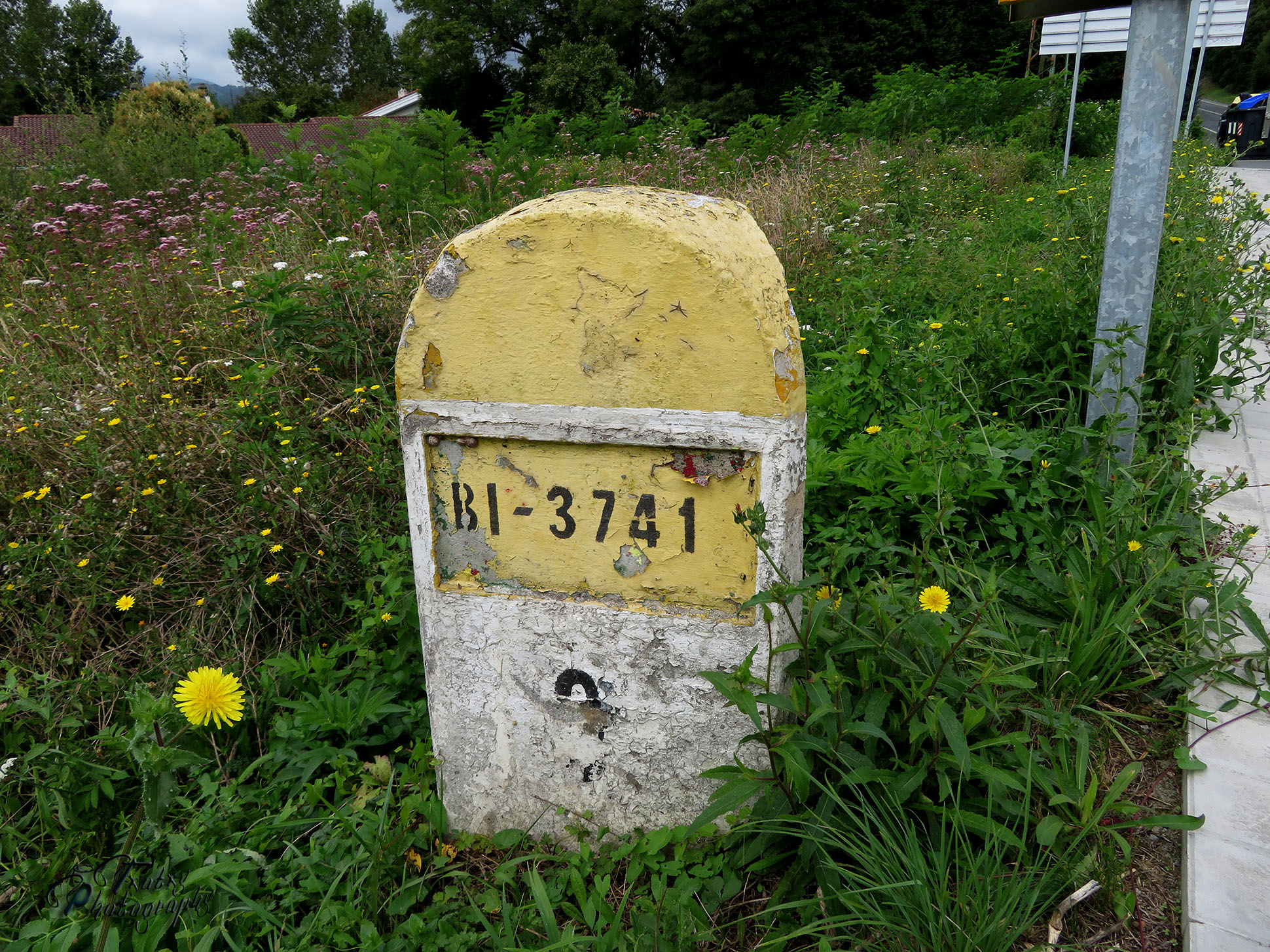 IMG_5050 copia.jpg