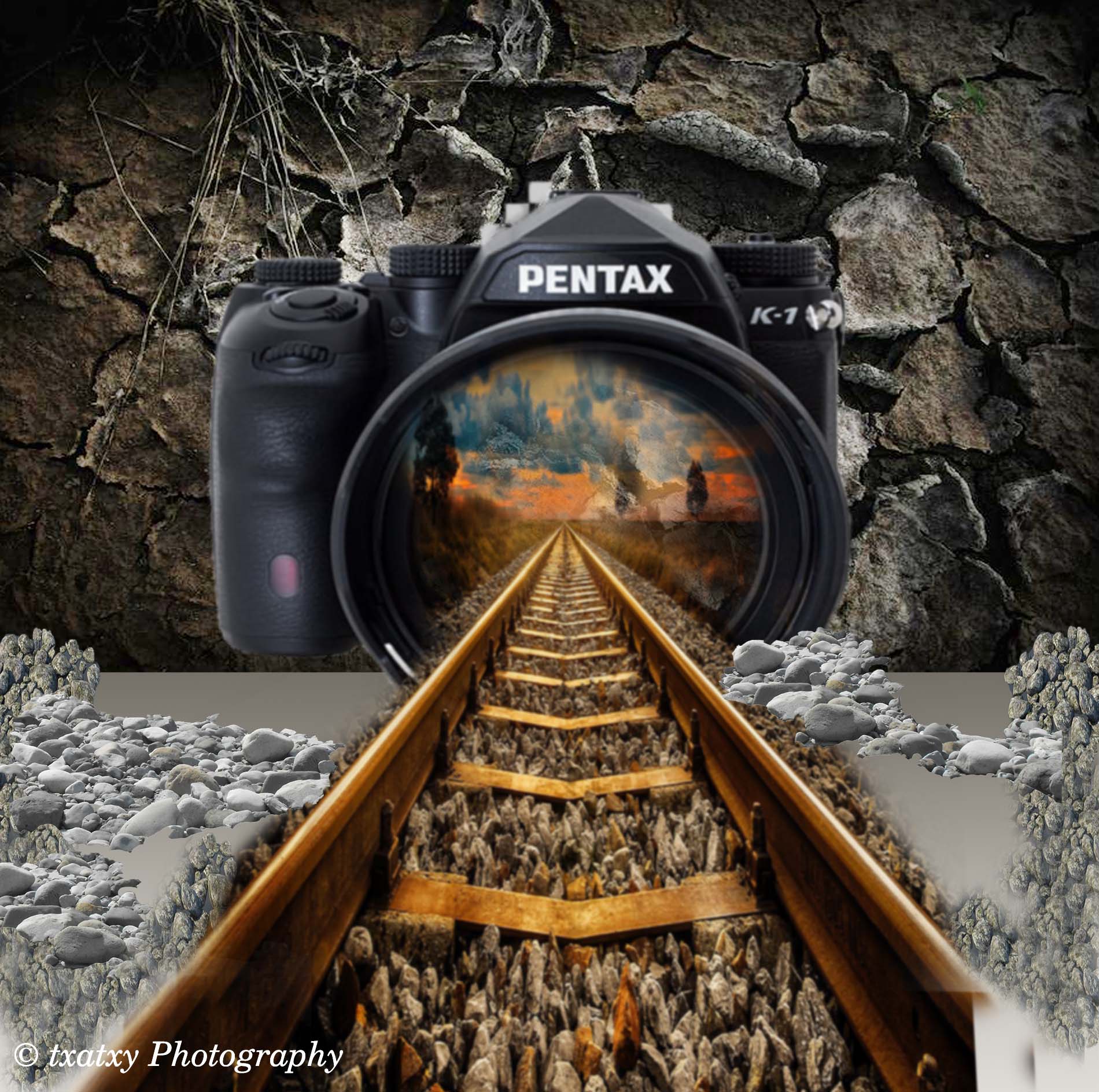 camara y tren04.jpg