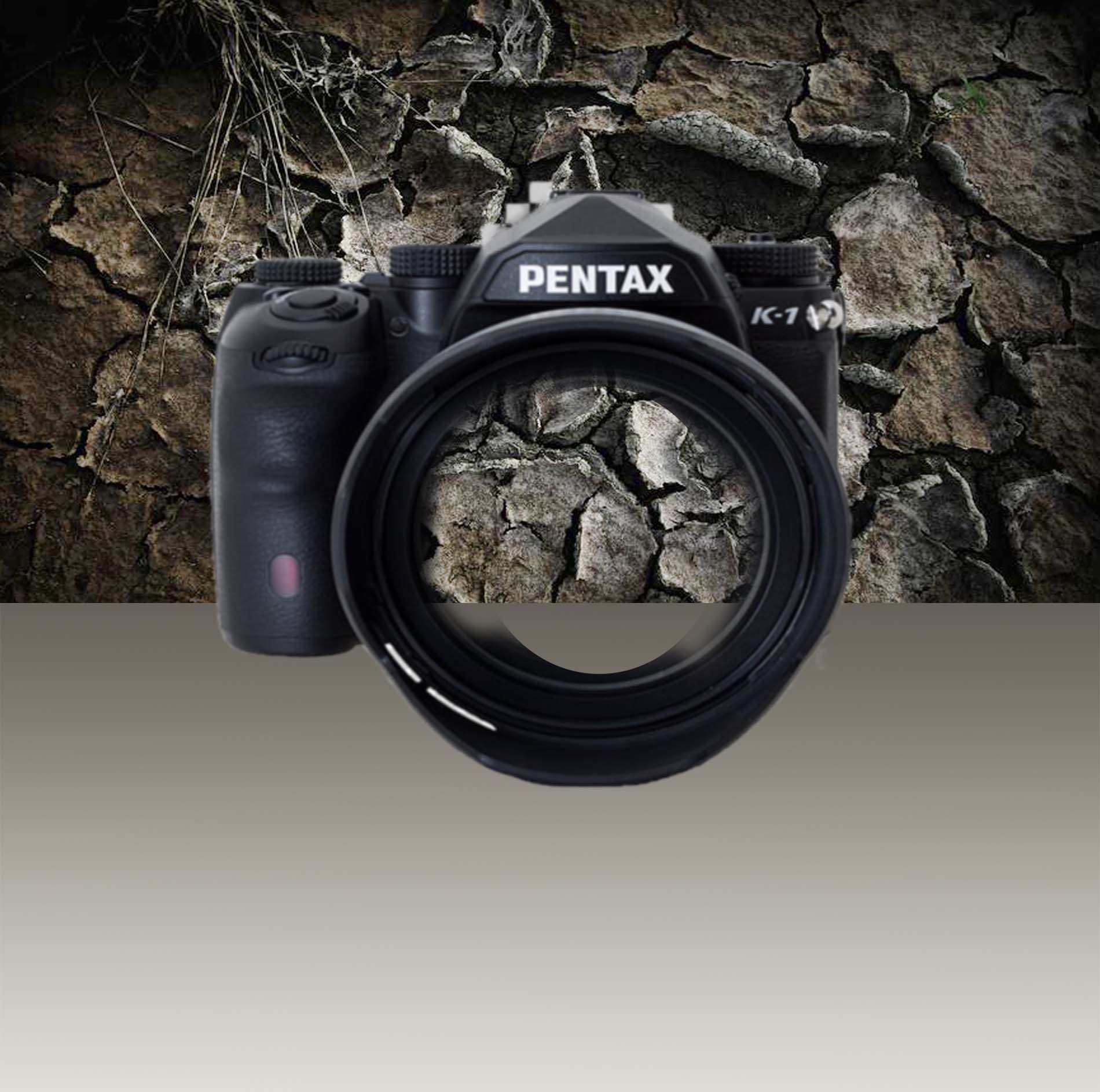 camara y tren.02jpg.jpg