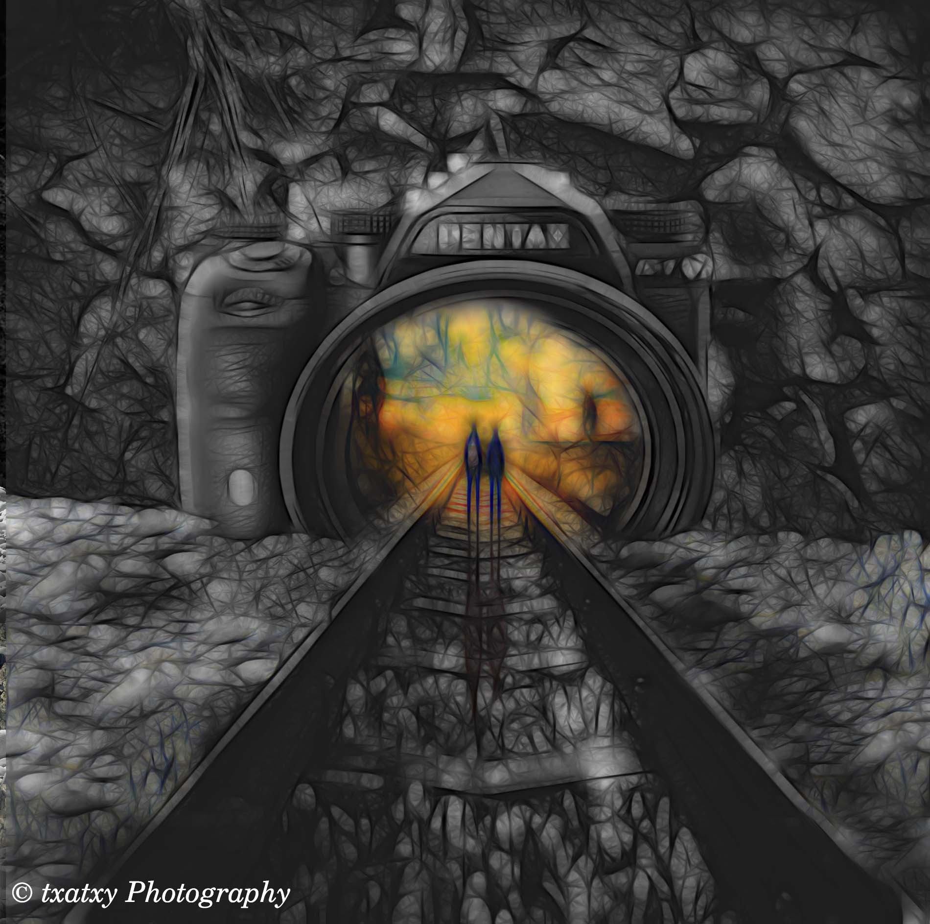 camara y tren.jpg