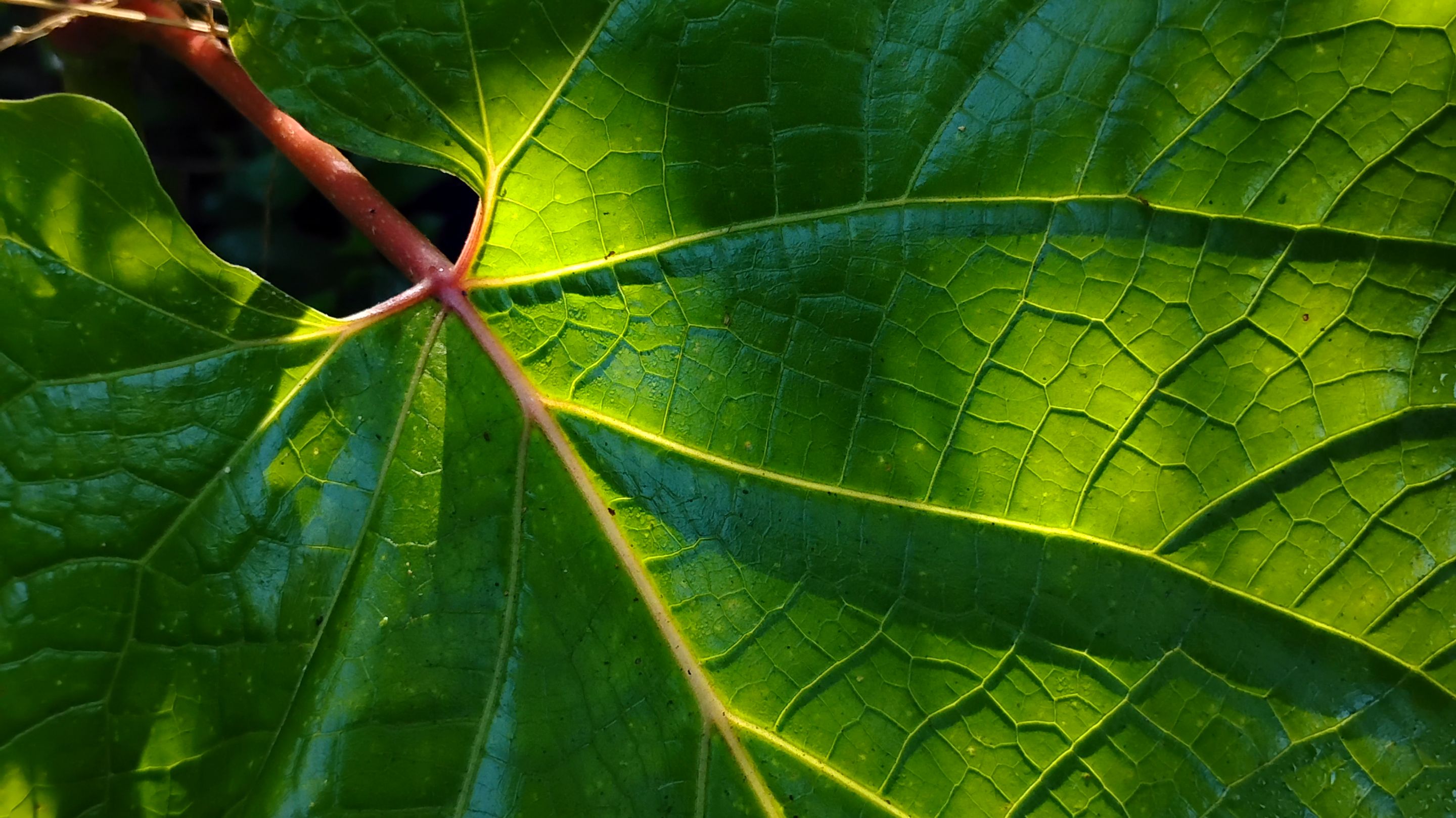 1000018280.jpg