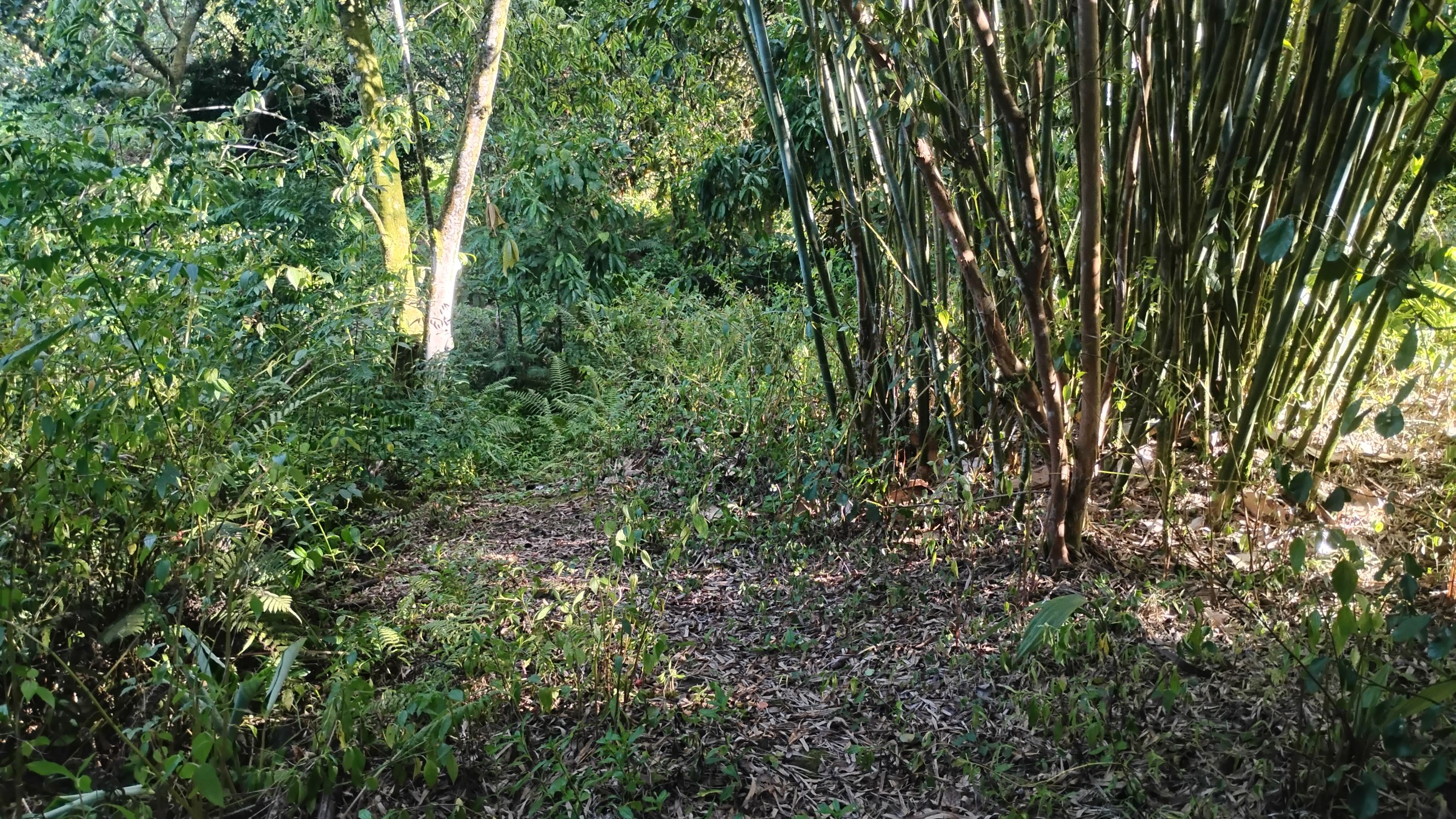 IMG_20250907_164147205_HDR.jpg