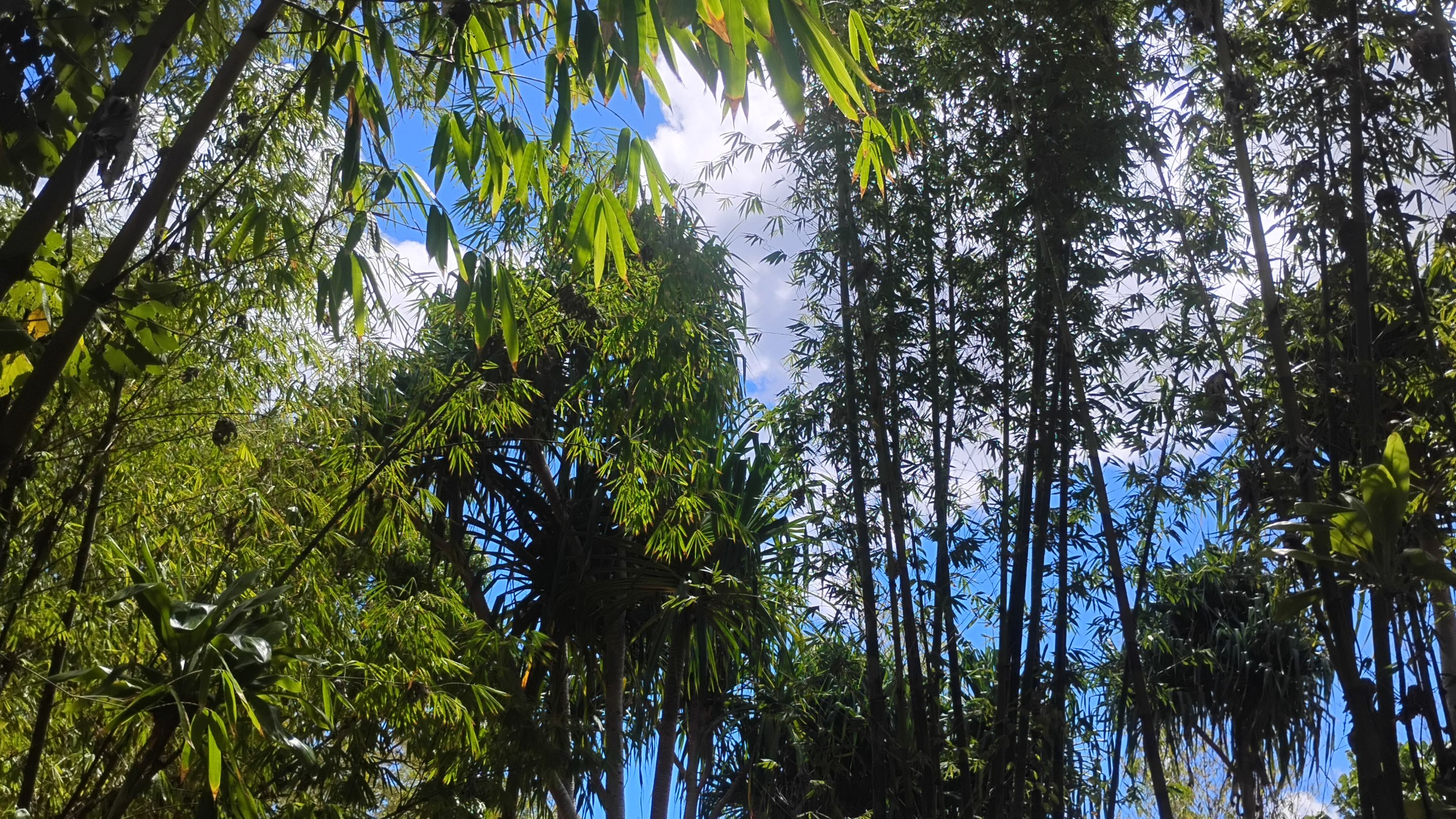 IMG_20250928_130528143_HDR.jpg
