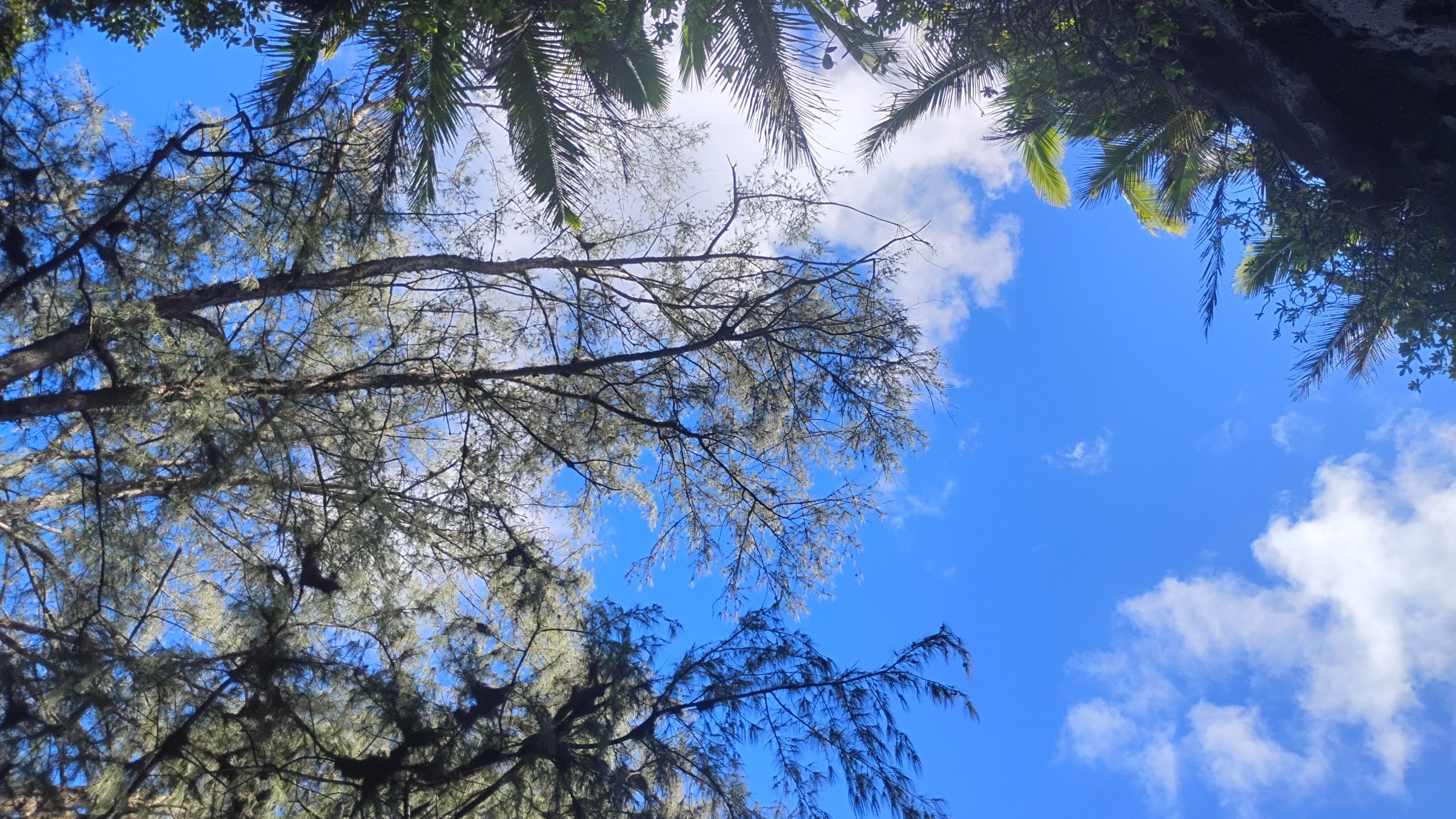 IMG_20250928_151125343_HDR.jpg