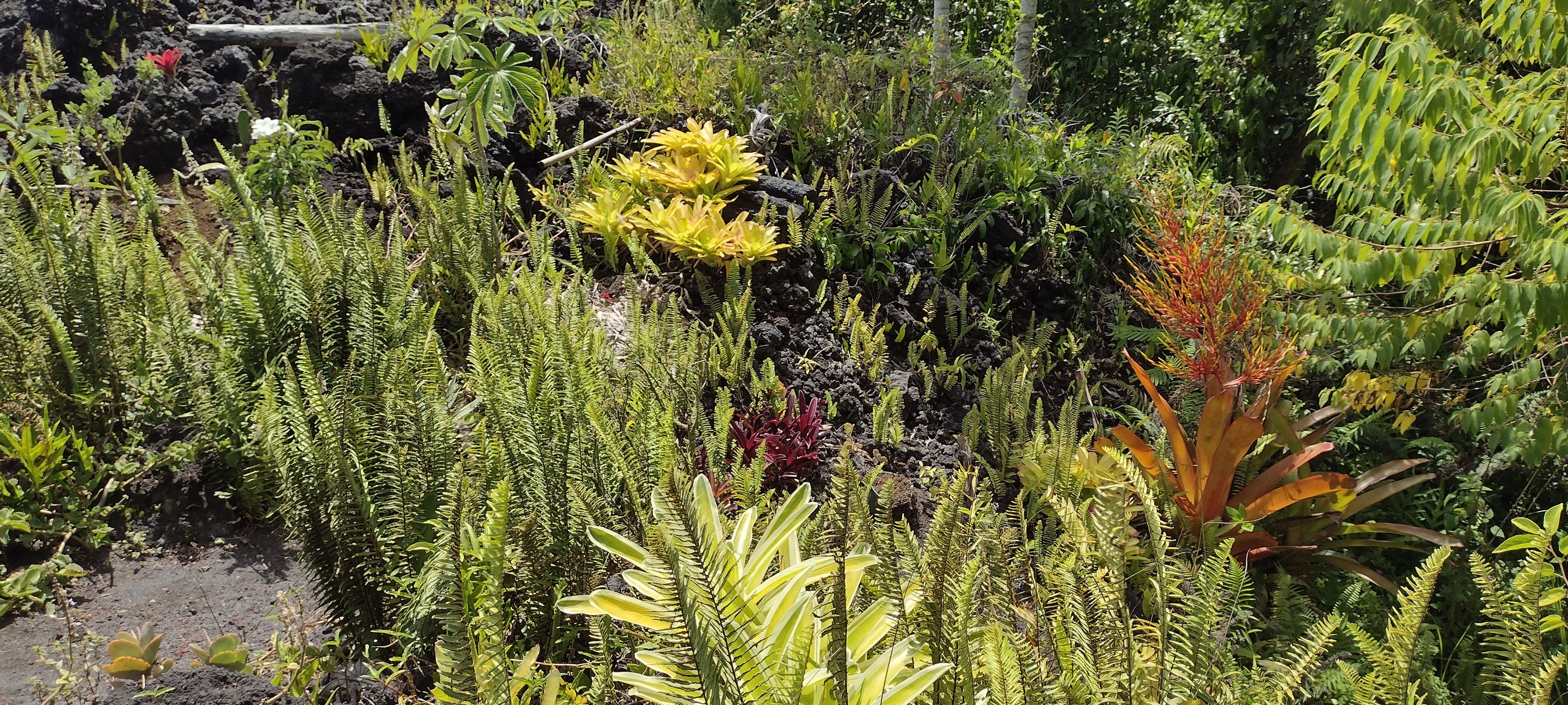 IMG_20230909_133524412_HDR.jpg