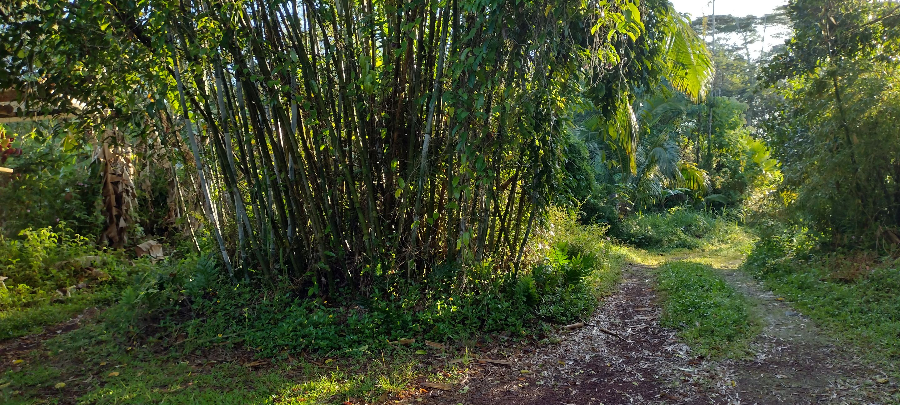 IMG_20231123_074119867_HDR.jpg