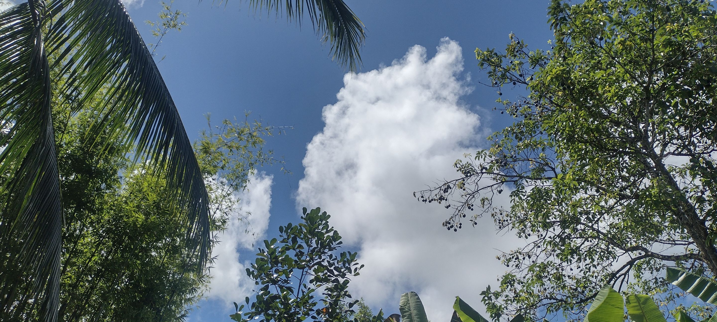 IMG_20230810_133700138_HDR.jpg