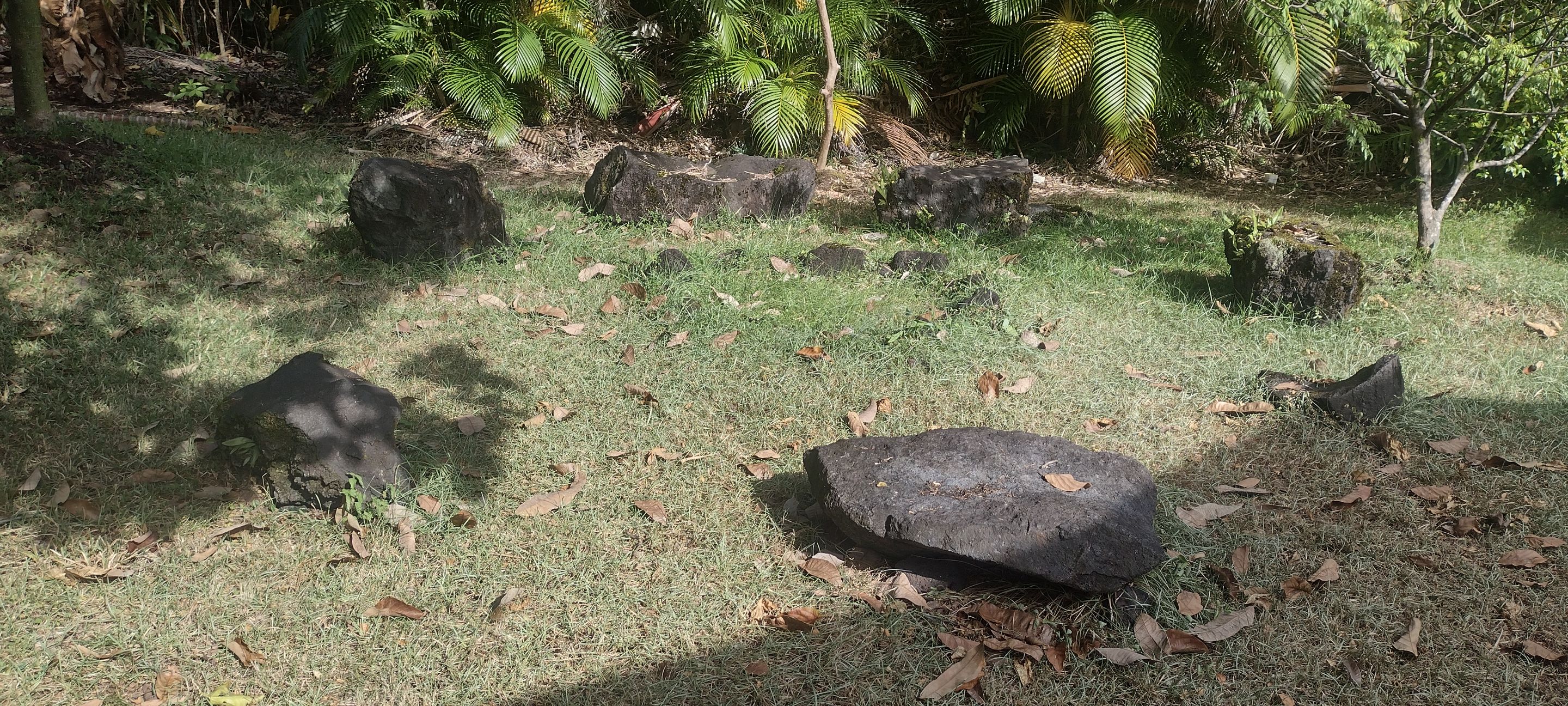 IMG_20220825_155313756_HDR.jpg