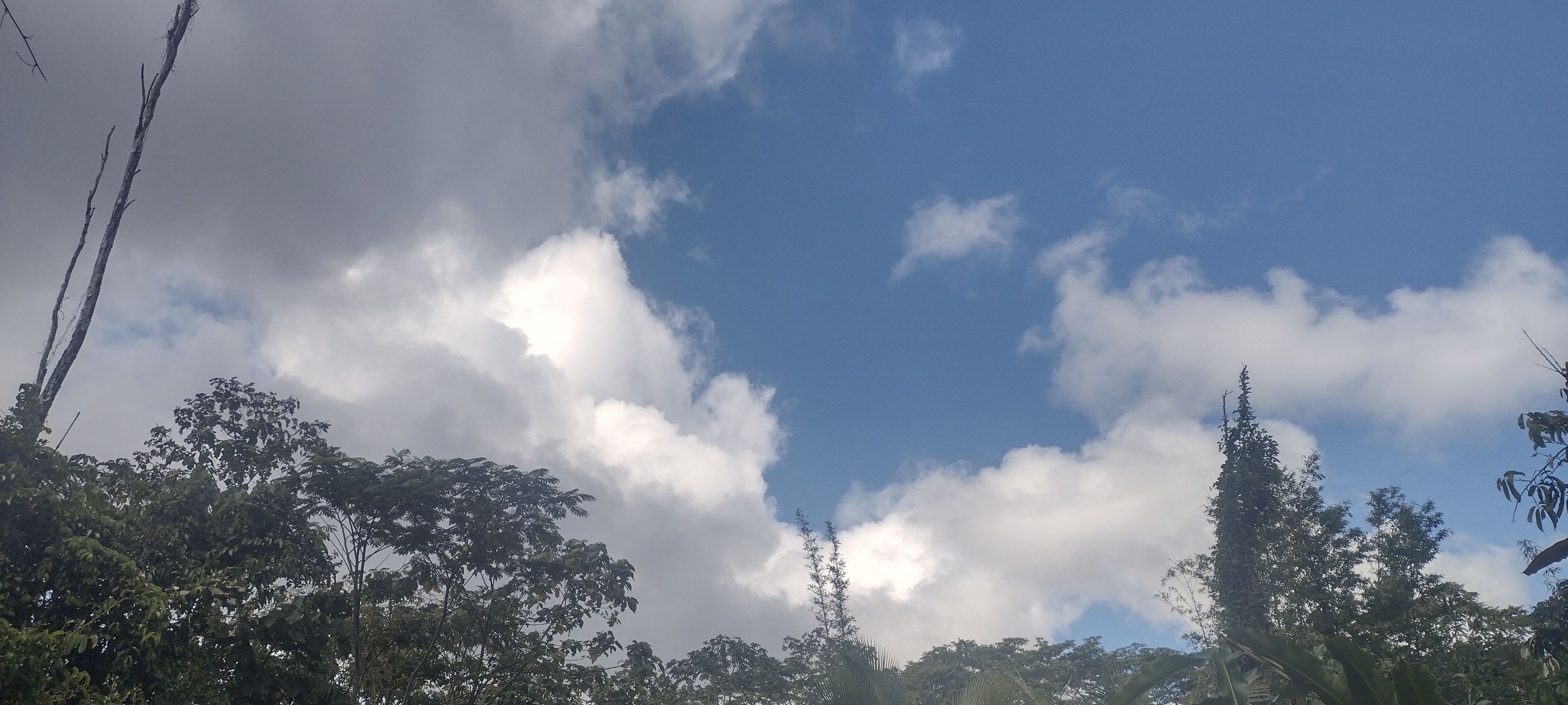 IMG_20230420_093310604_HDR.jpg