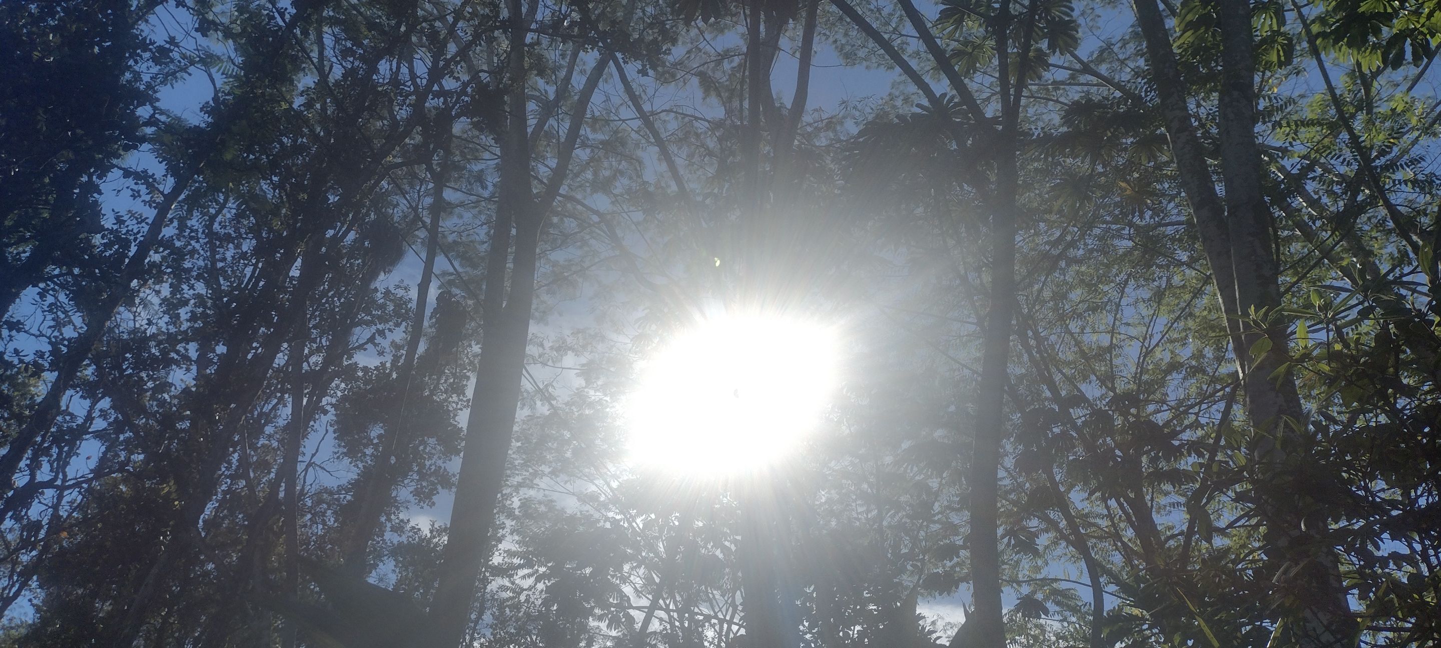 IMG_20221002_153410436_HDR.jpg