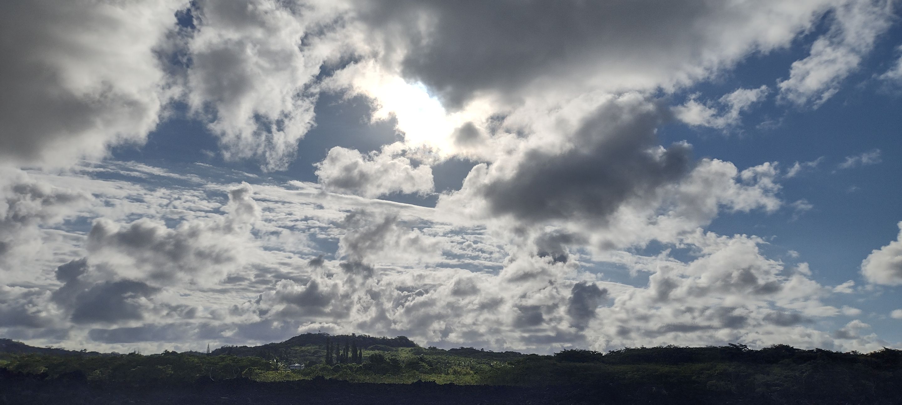 IMG_20220825_165355631_HDR.jpg