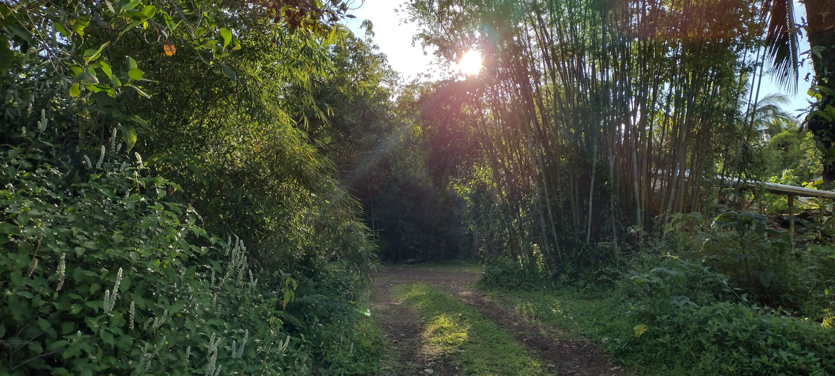 IMG_20230702_174340484_HDR.jpg