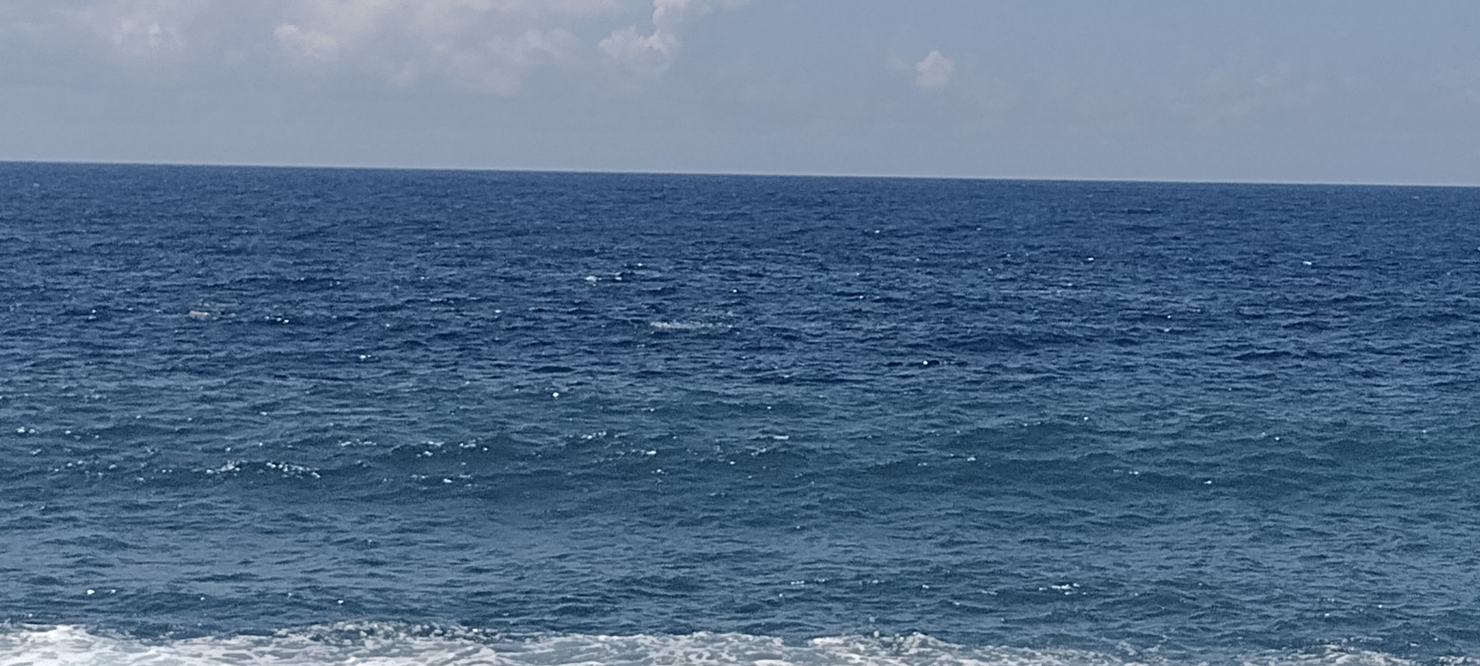 IMG_20220607_105707840.jpg