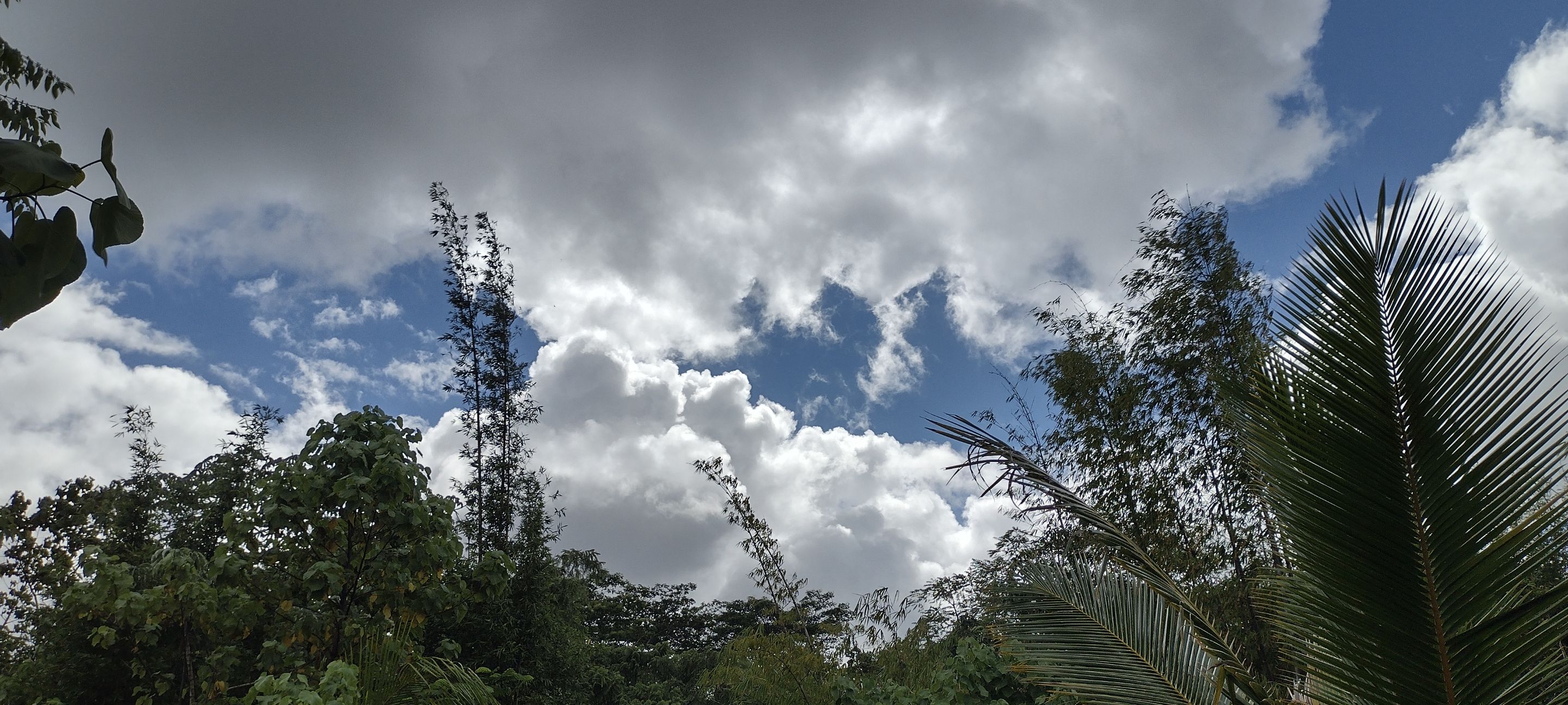 IMG_20230909_144831697_HDR.jpg