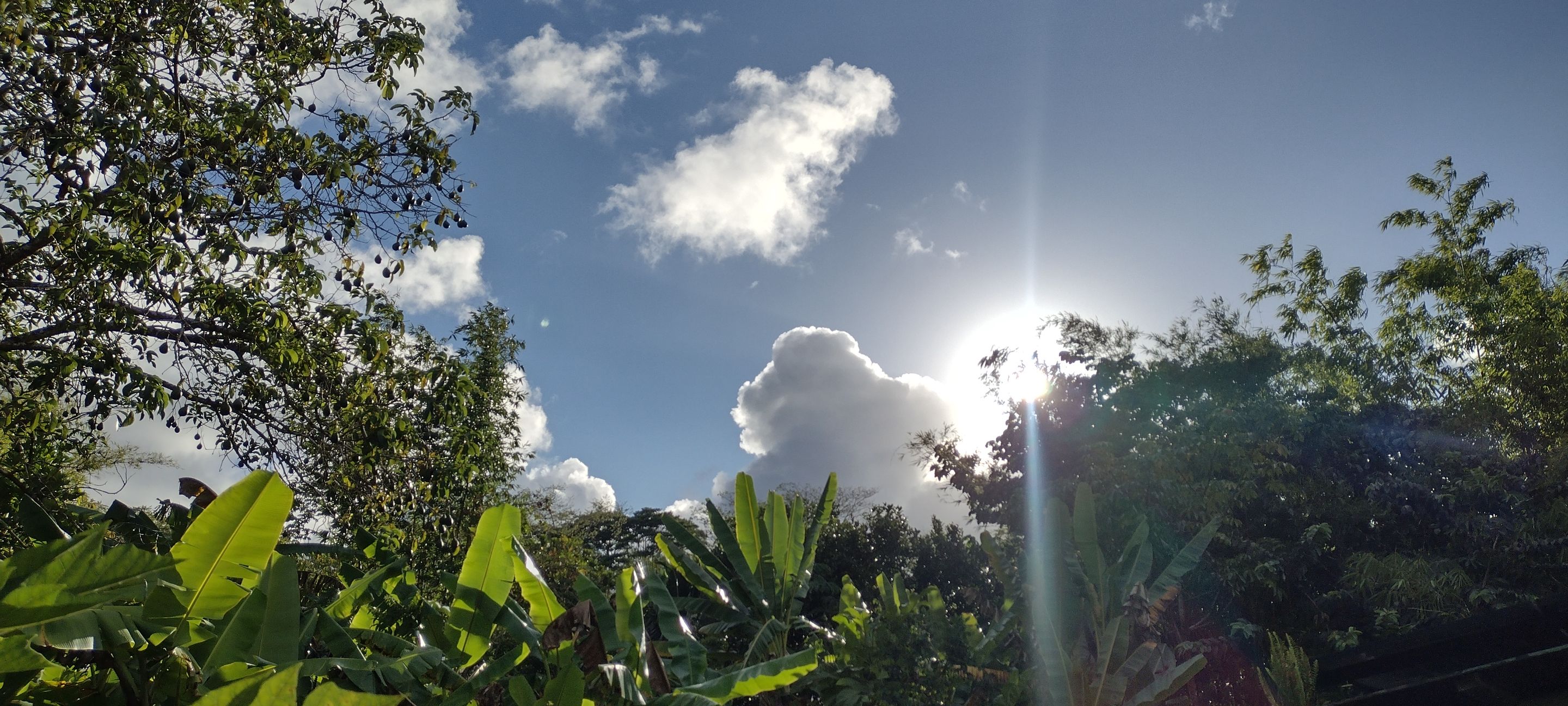 IMG_20230909_165842991_HDR.jpg