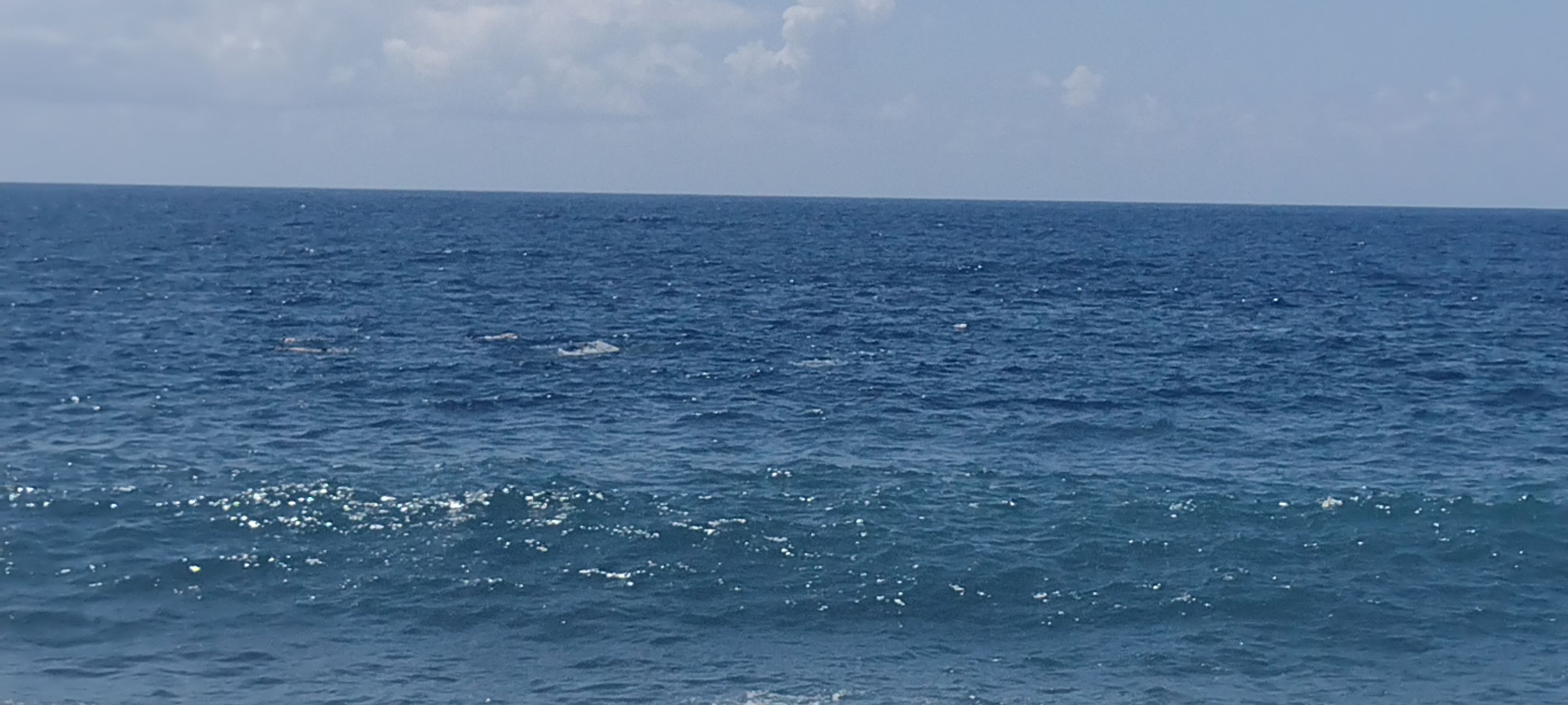 IMG_20220607_105709815.jpg