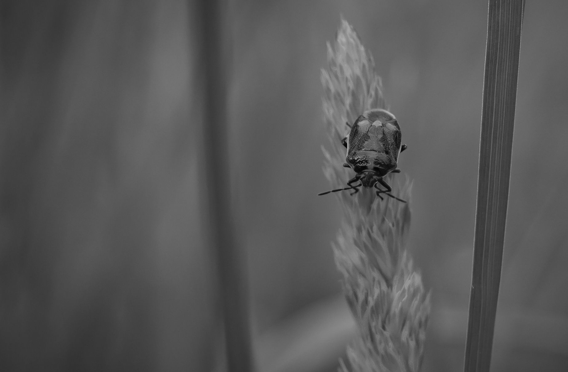 DSC_6124-2.jpg