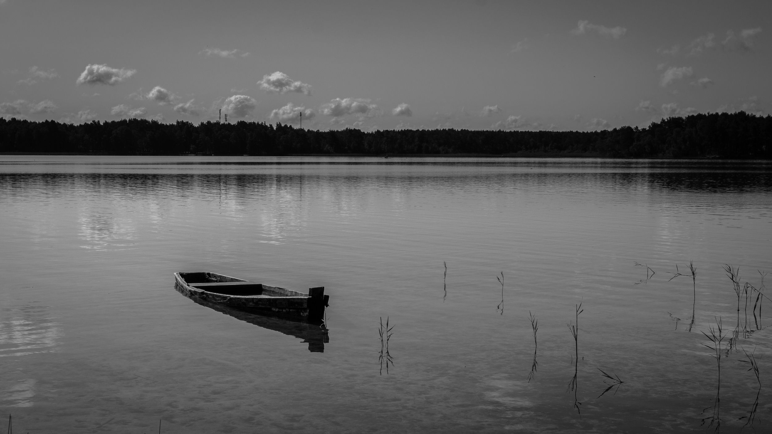 DSC_8811.jpg