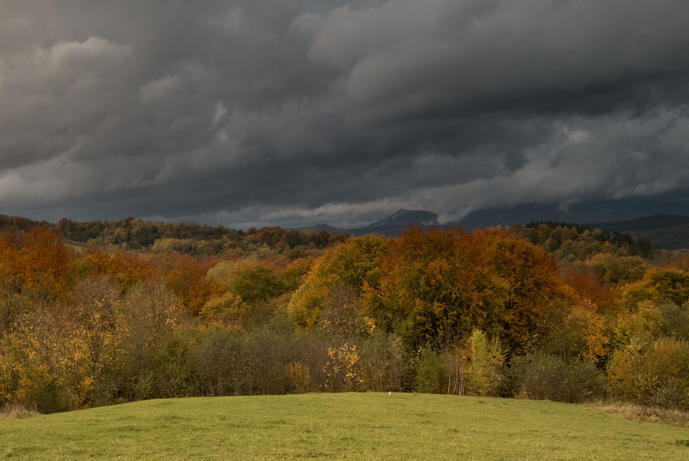DSC_8325.jpg