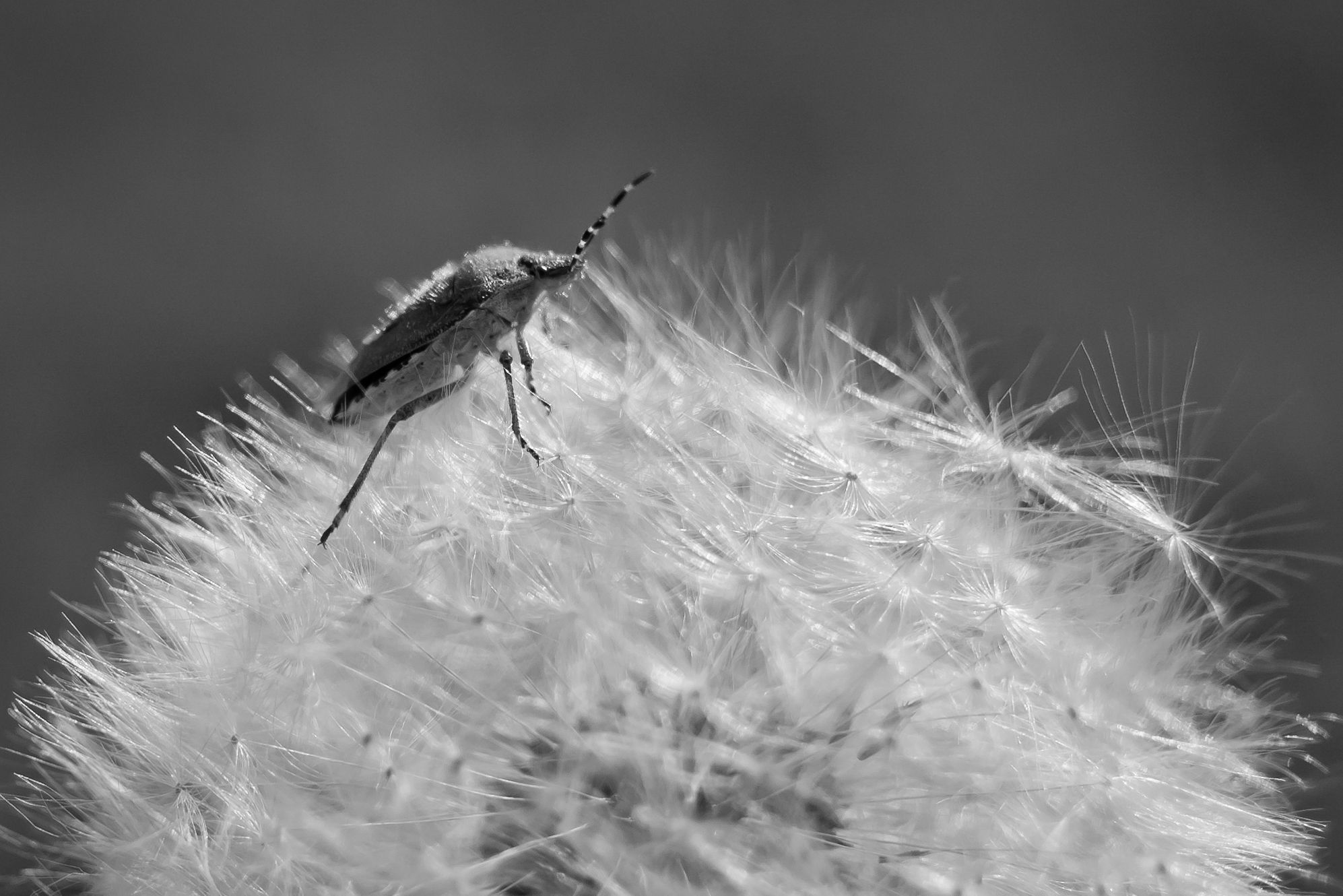 DSC_6146.jpg