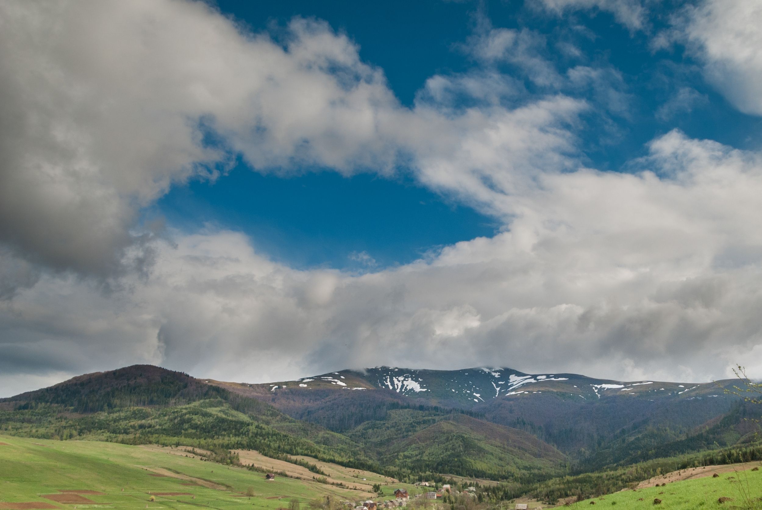 DSC_6391-2.jpg