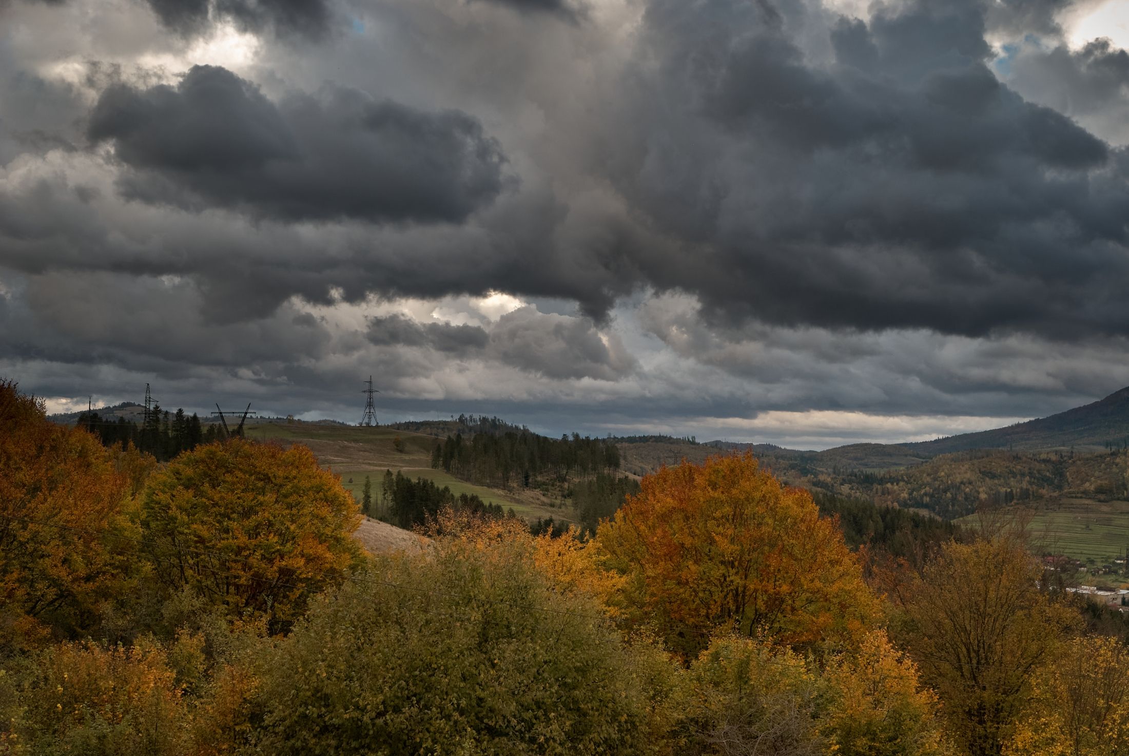 DSC_8303.jpg
