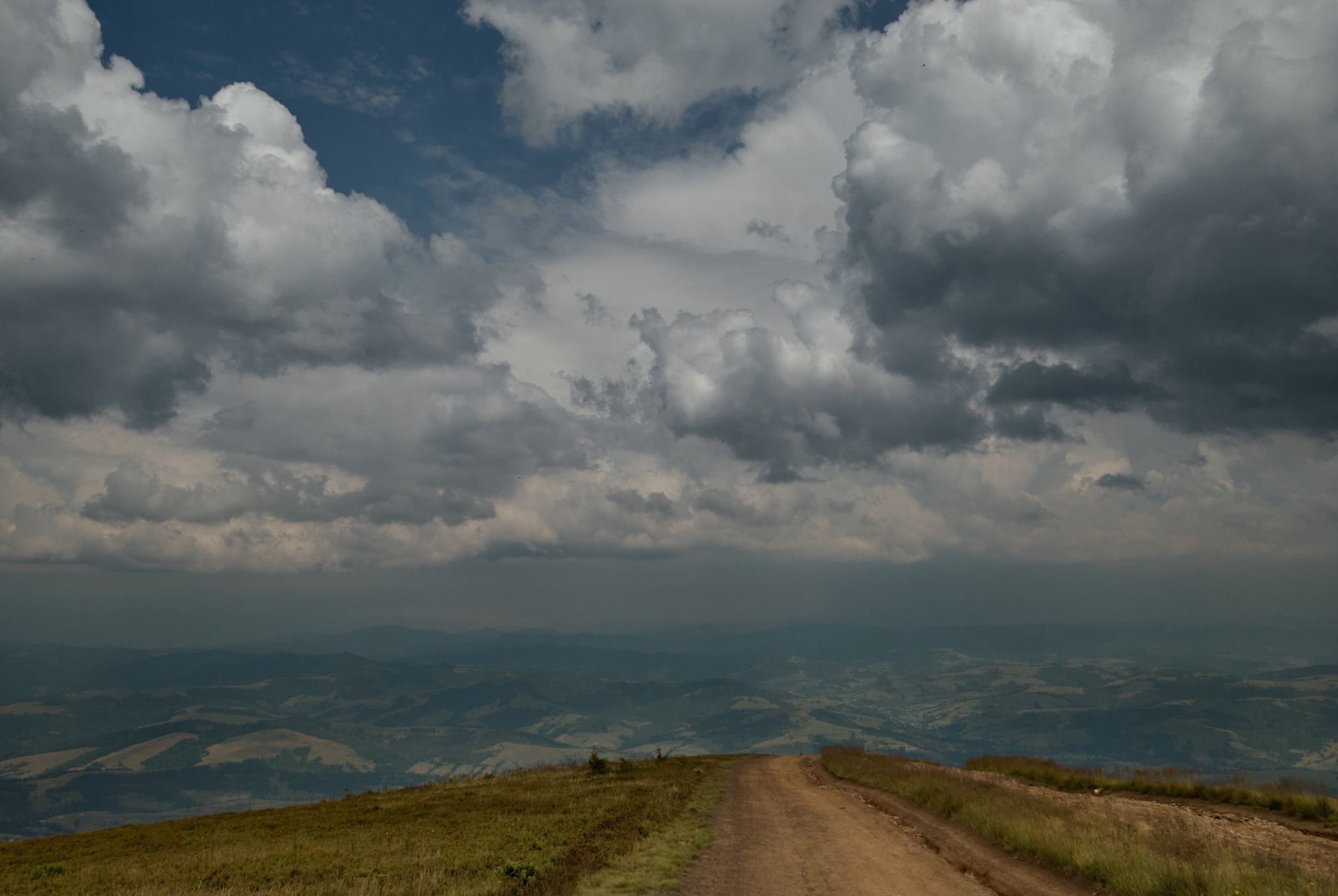 DSC_8351 1.jpg
