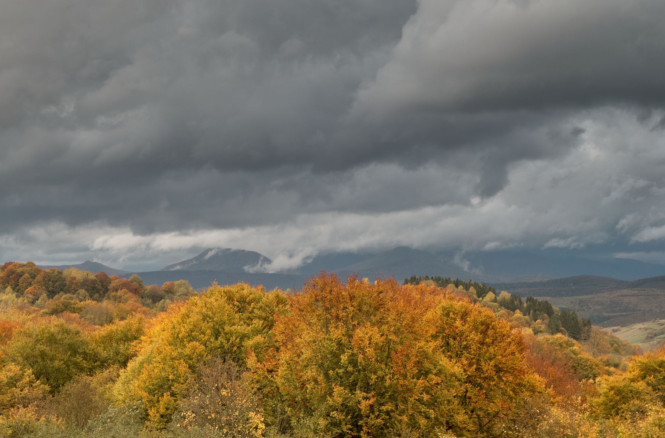 DSC_8329.jpg