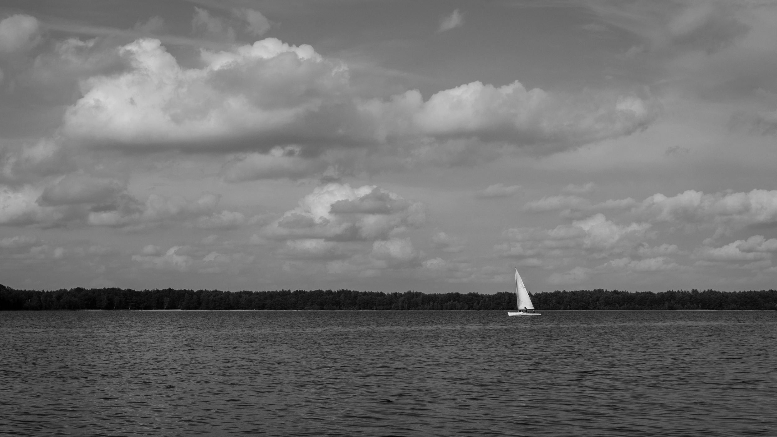DSC_8744-2.jpg