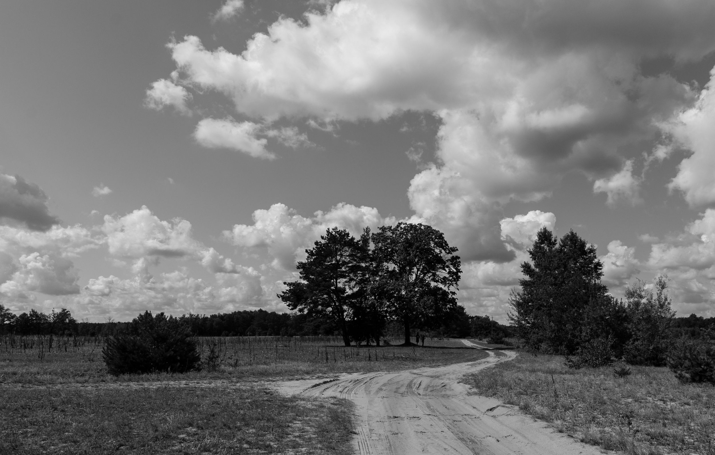 DSC_8847.jpg