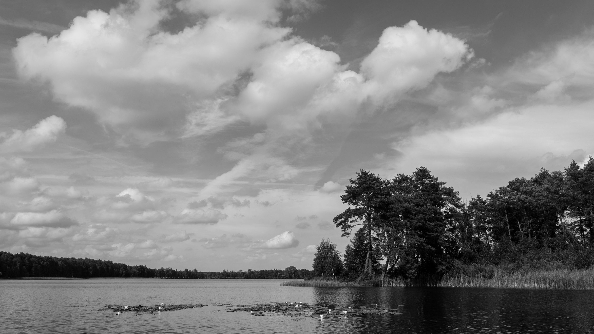DSC_8726.jpg