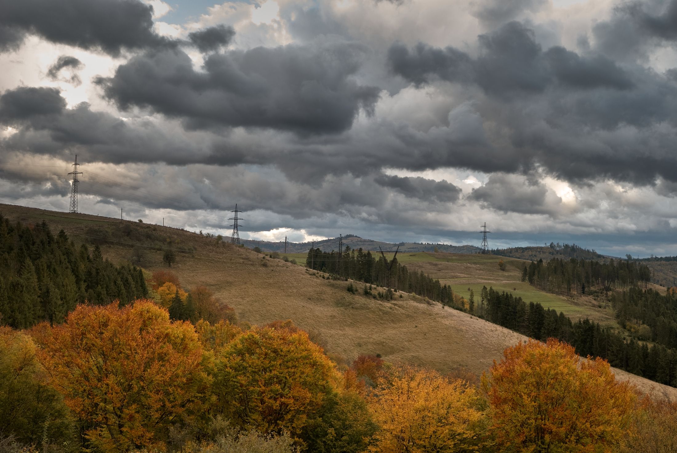DSC_8306.jpg