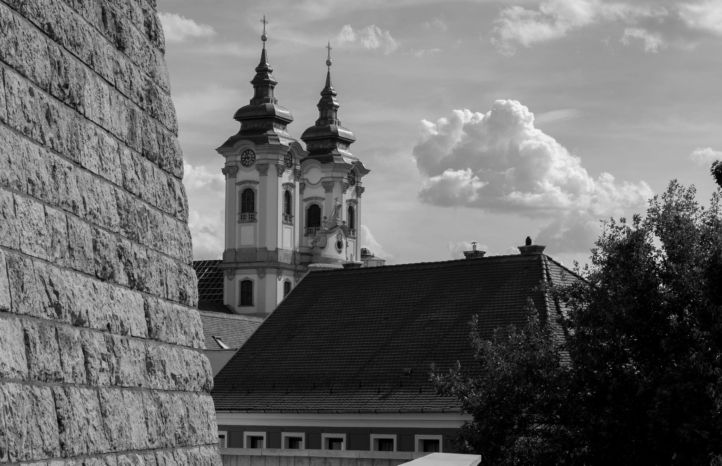 DSC_7269.jpg