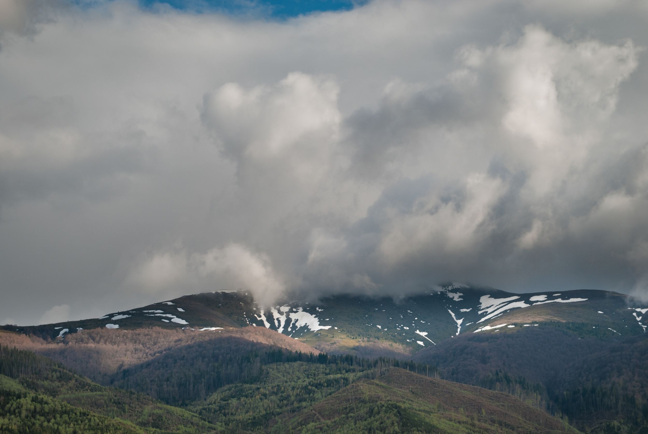 DSC_6417.jpg