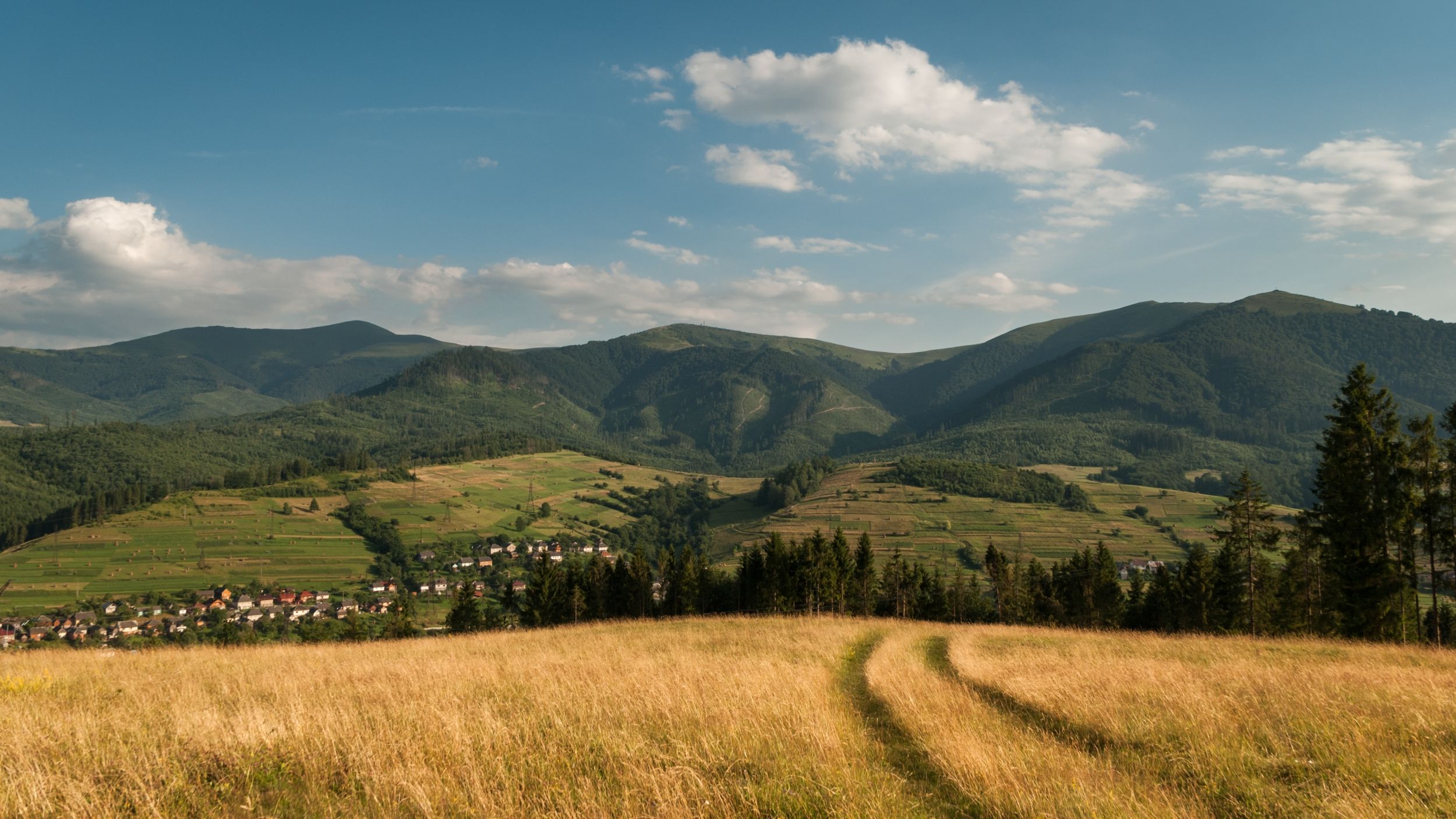 DSC_6327-2.jpg